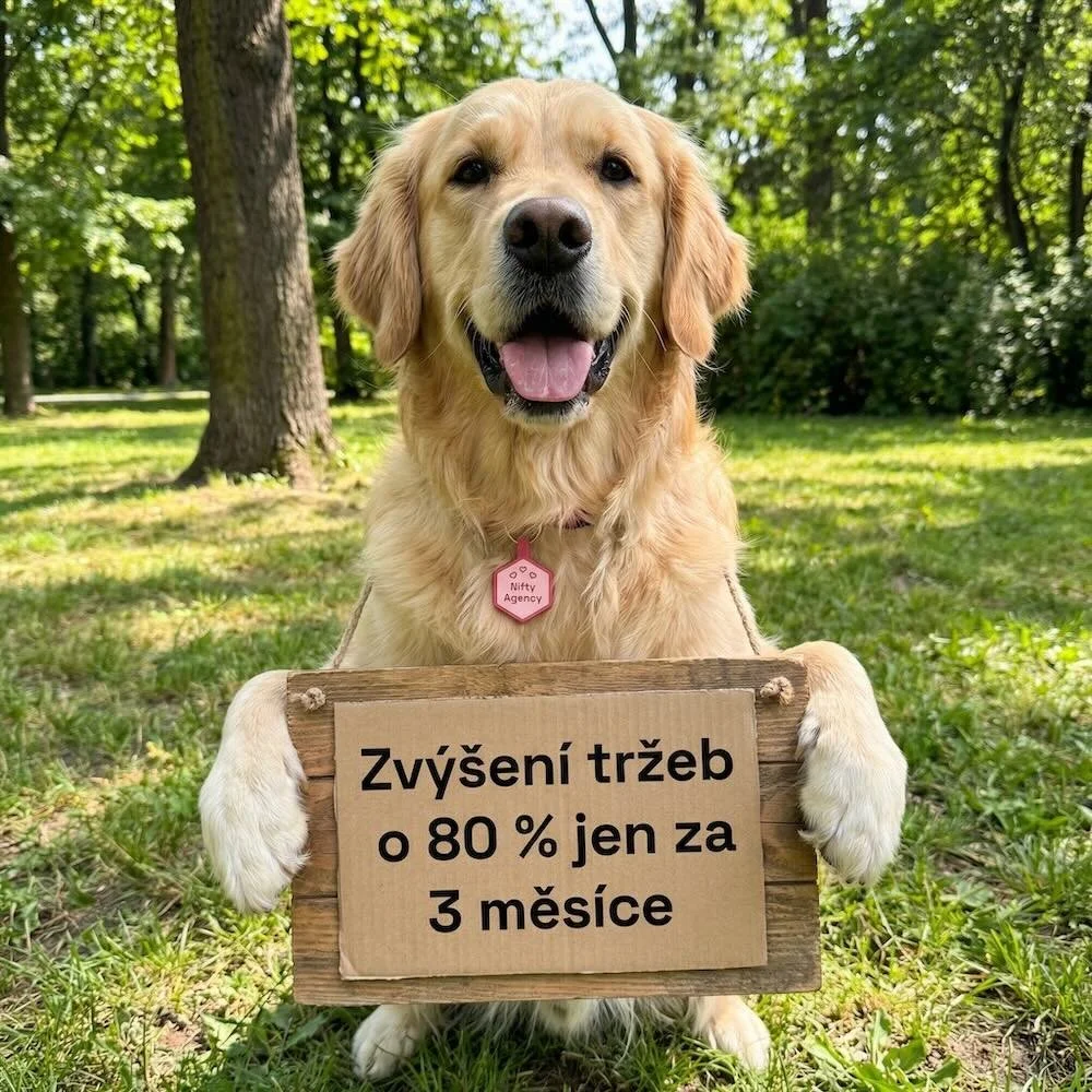 Woofit.cz: Jak jsme díky kreativnímu systému Nifty 5R Creative Engine zvýšili tržby o 80 % za pouhé 3 měsíce 🚀