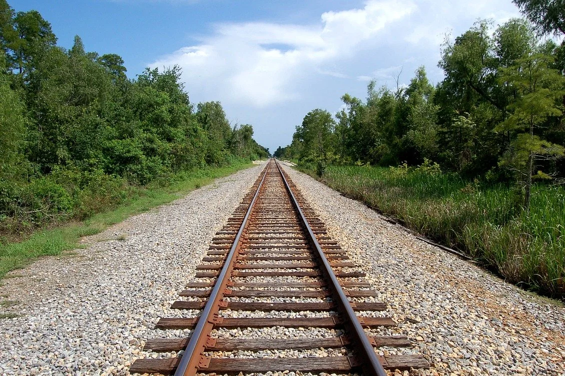 Trackside by Jeanne Blum Lesinski