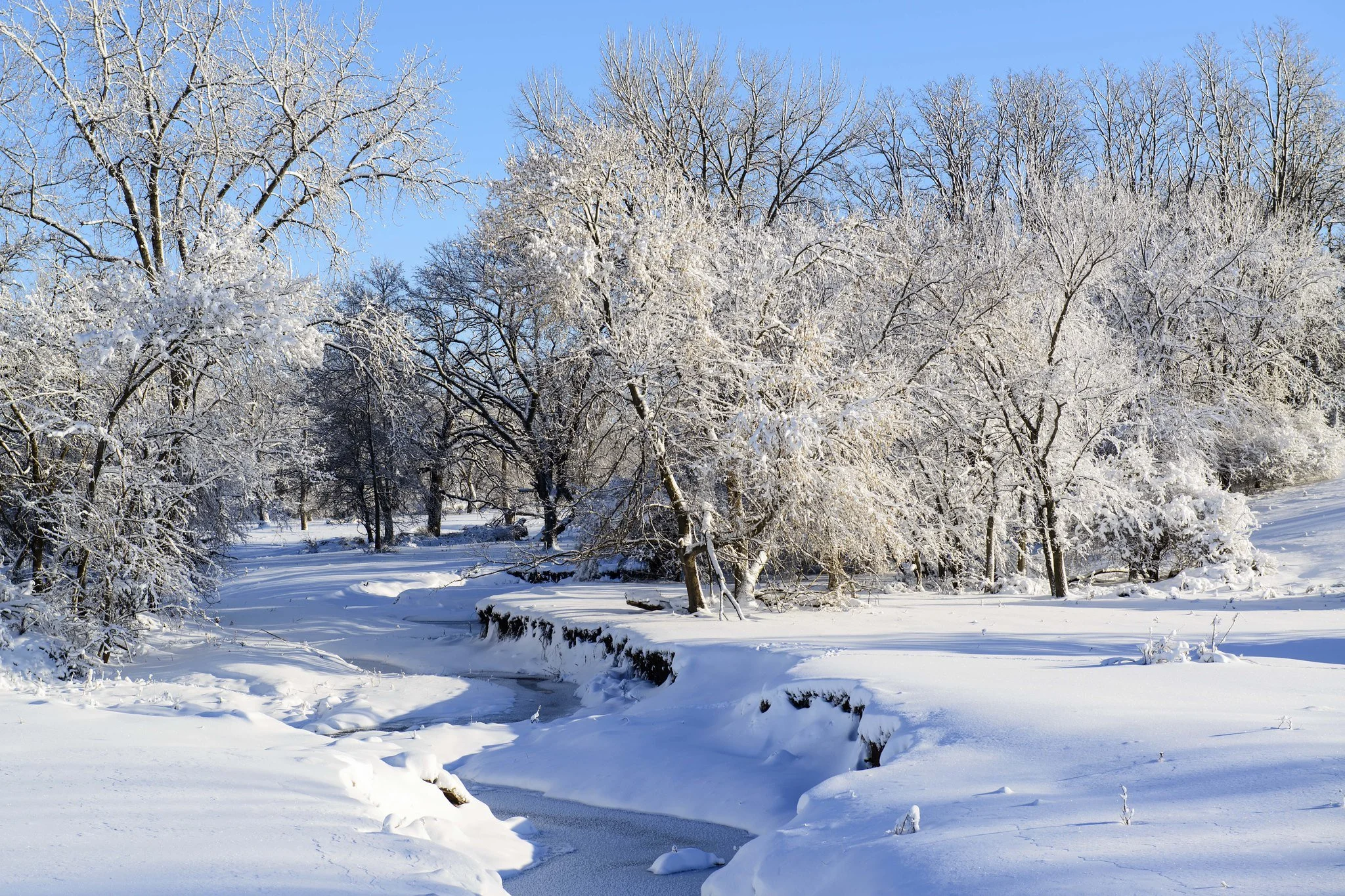 Two Poems by John Repp