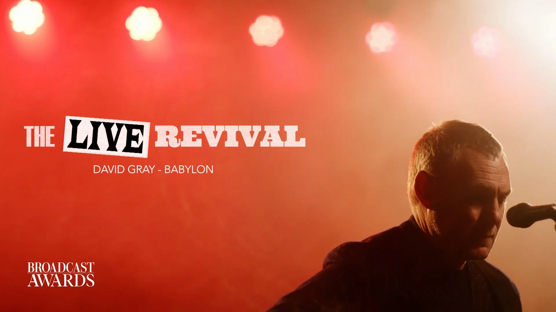 David Gray - Babylon - The Live Revival