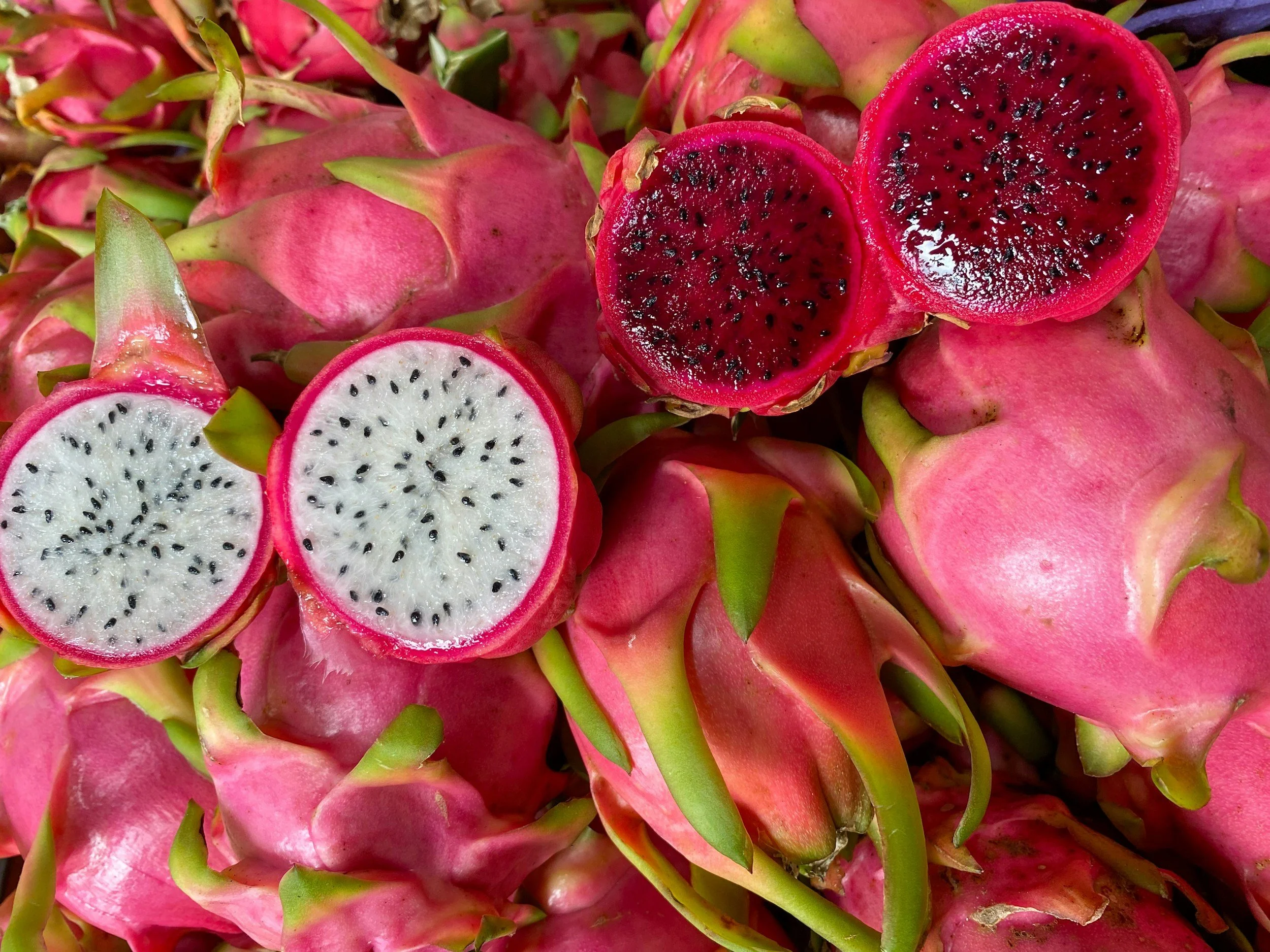 Strategi pemasaran buah naga