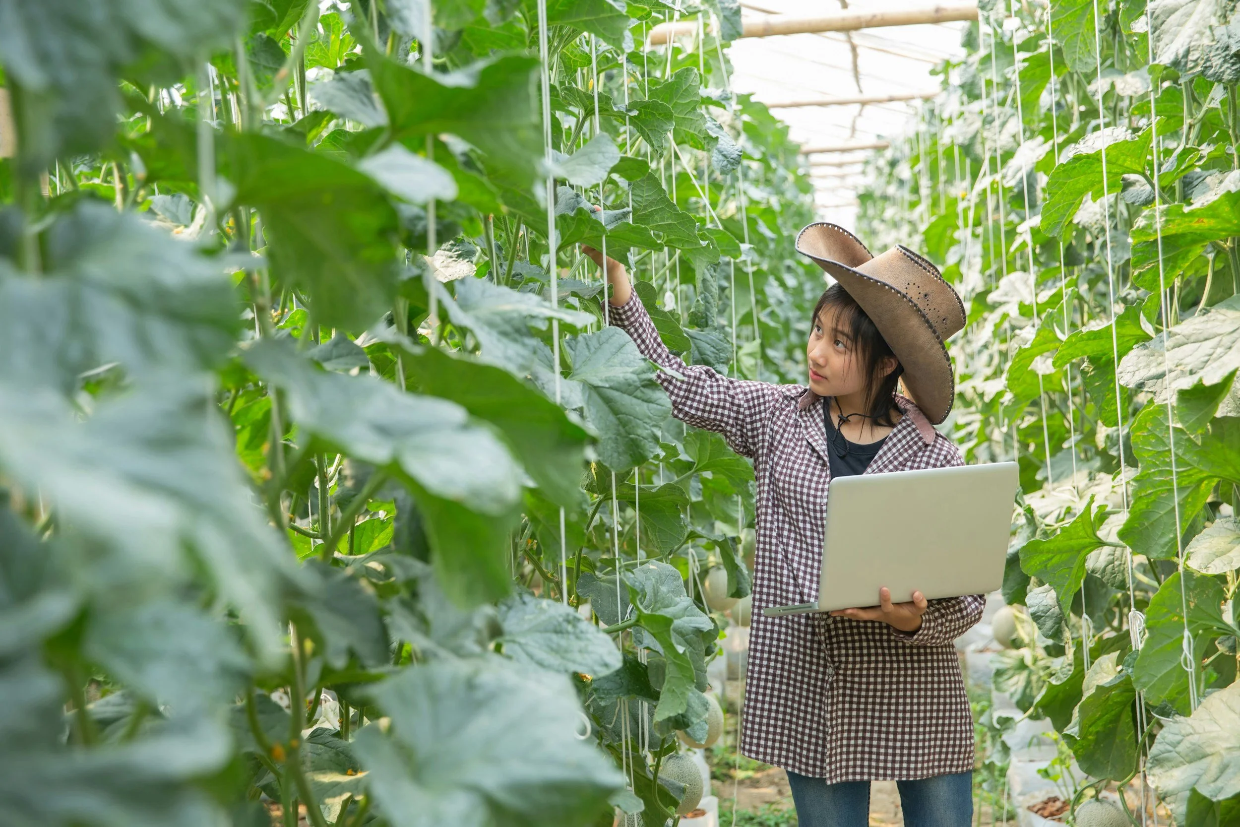 Information technology memainkan peran krusial meningkatkan efisiensi agribisnis