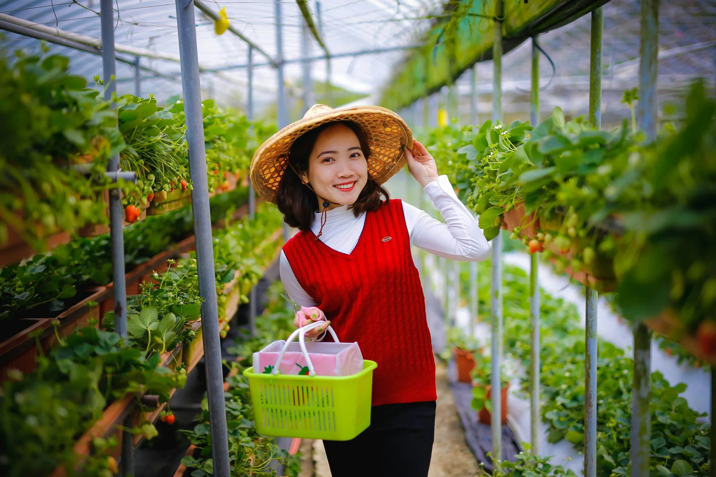 Agrowisata 