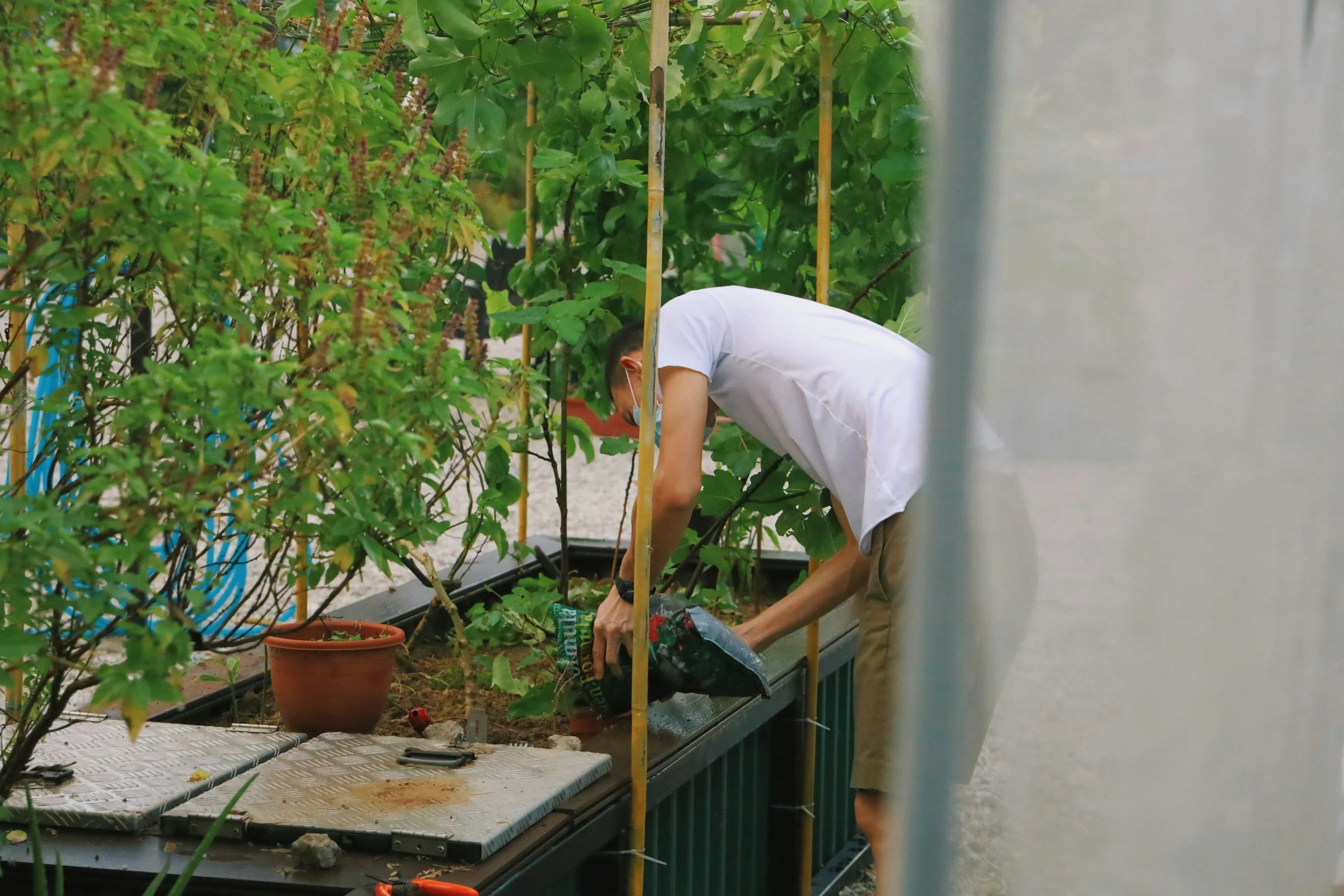 Urban farming concept