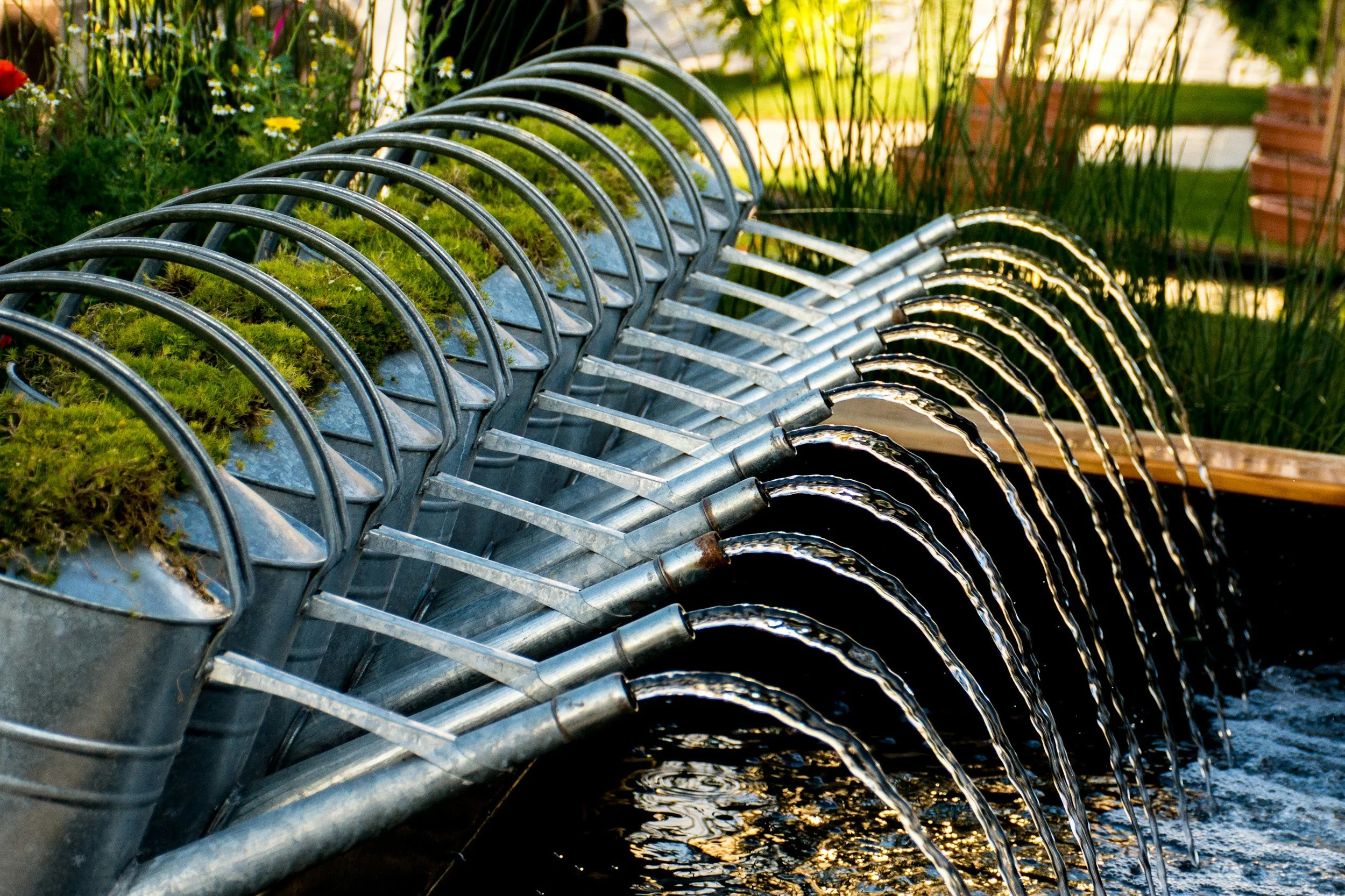 Integrated cultivation concept between fish and vegetable plants