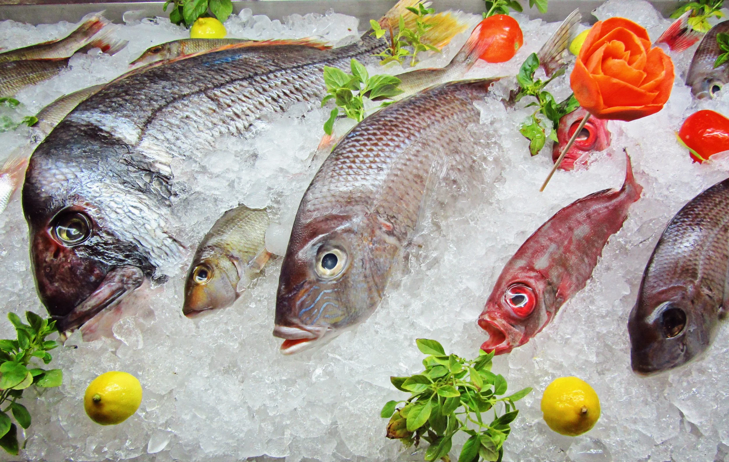 Maximizing Profit: The Ultimate Guide to Marketing Table Fish
