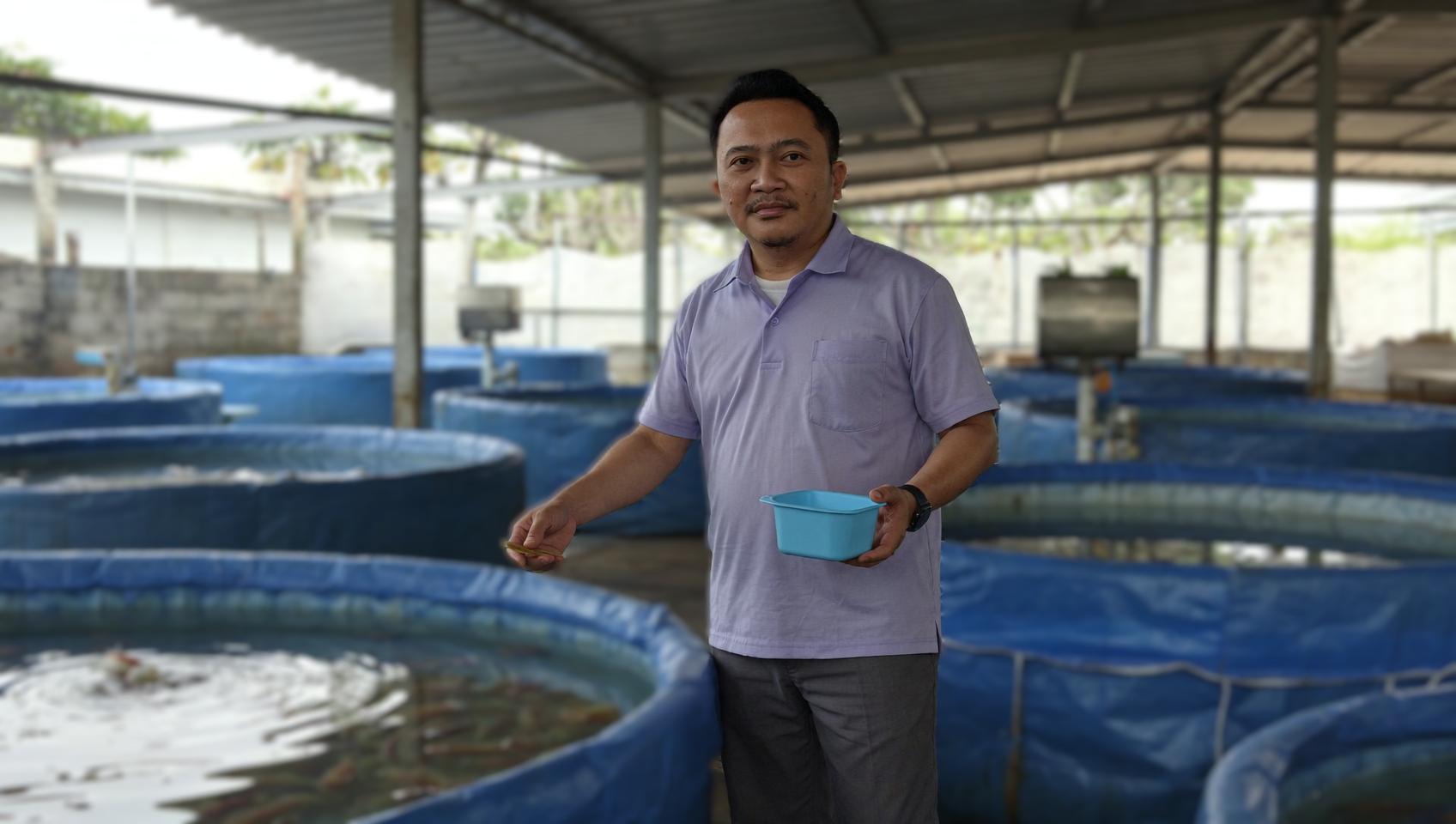 Manajemen pengelolaan kualitas air pada budidaya ikan nila