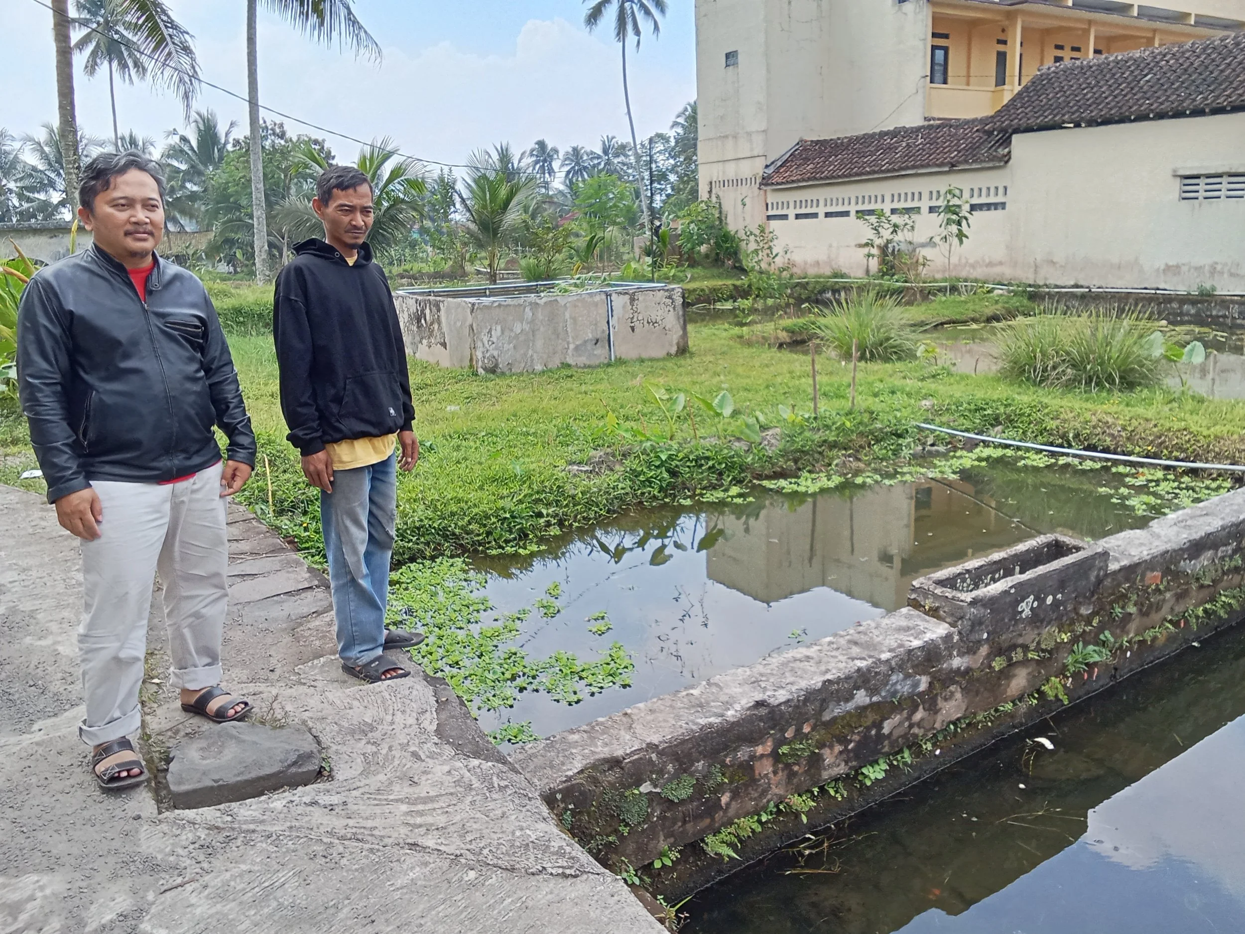 How to develop the potential of fish ponds