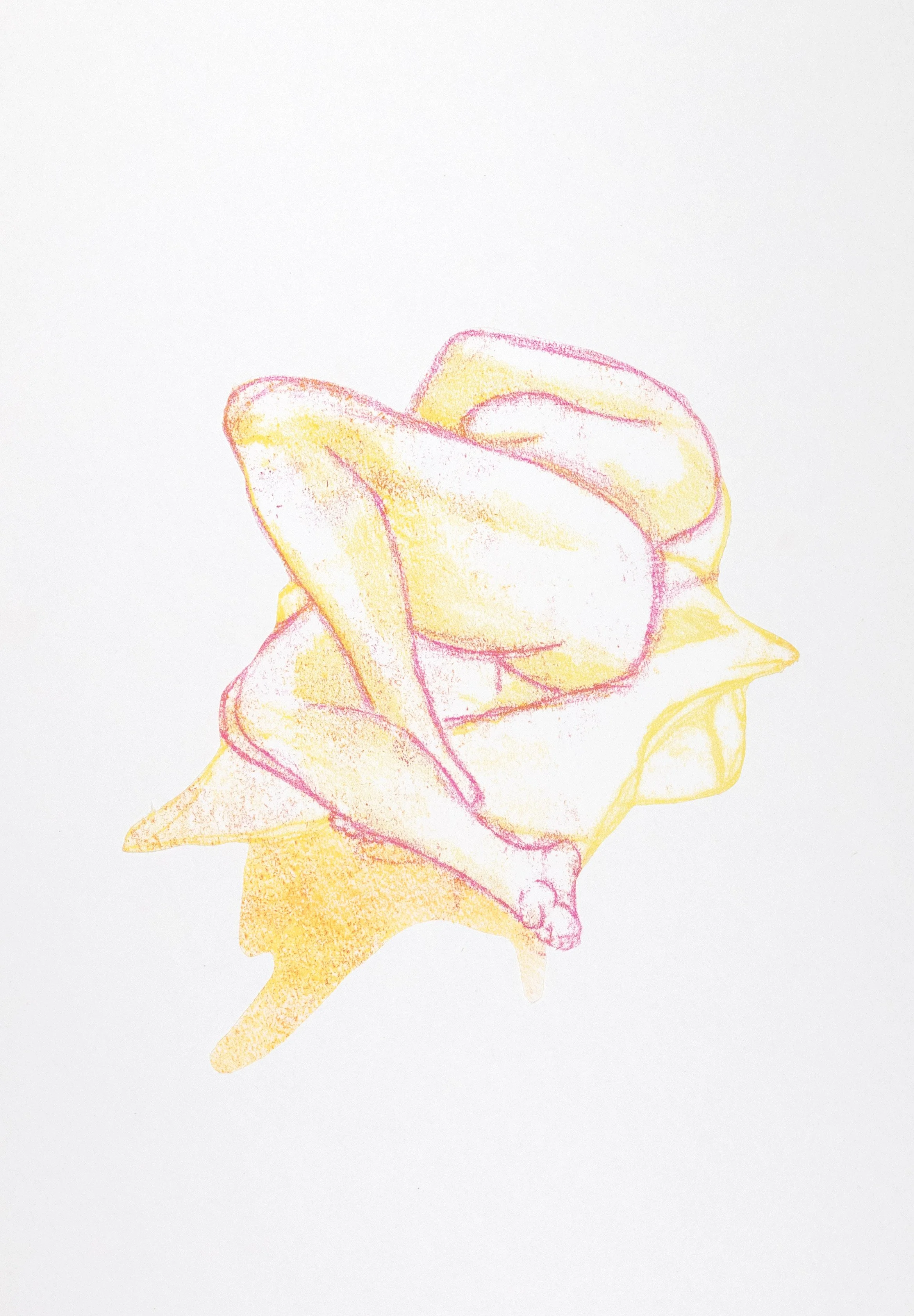 monotype
