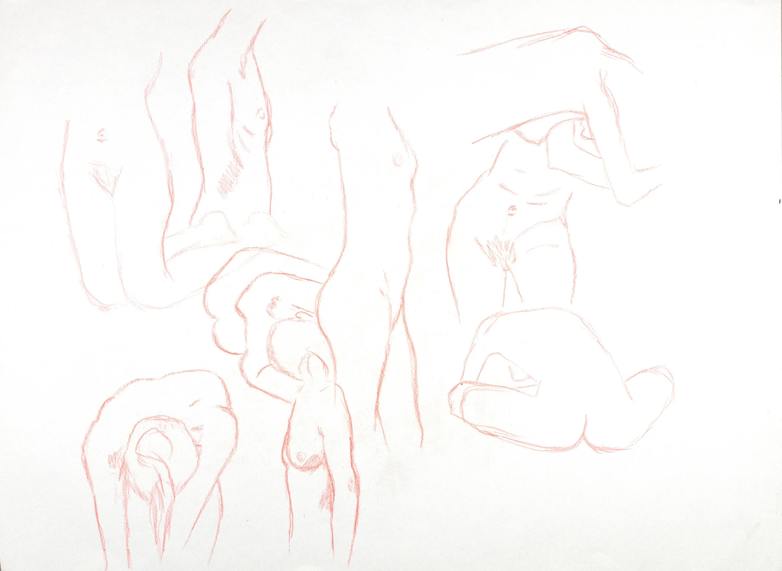 dessin-tradi-019.jpg