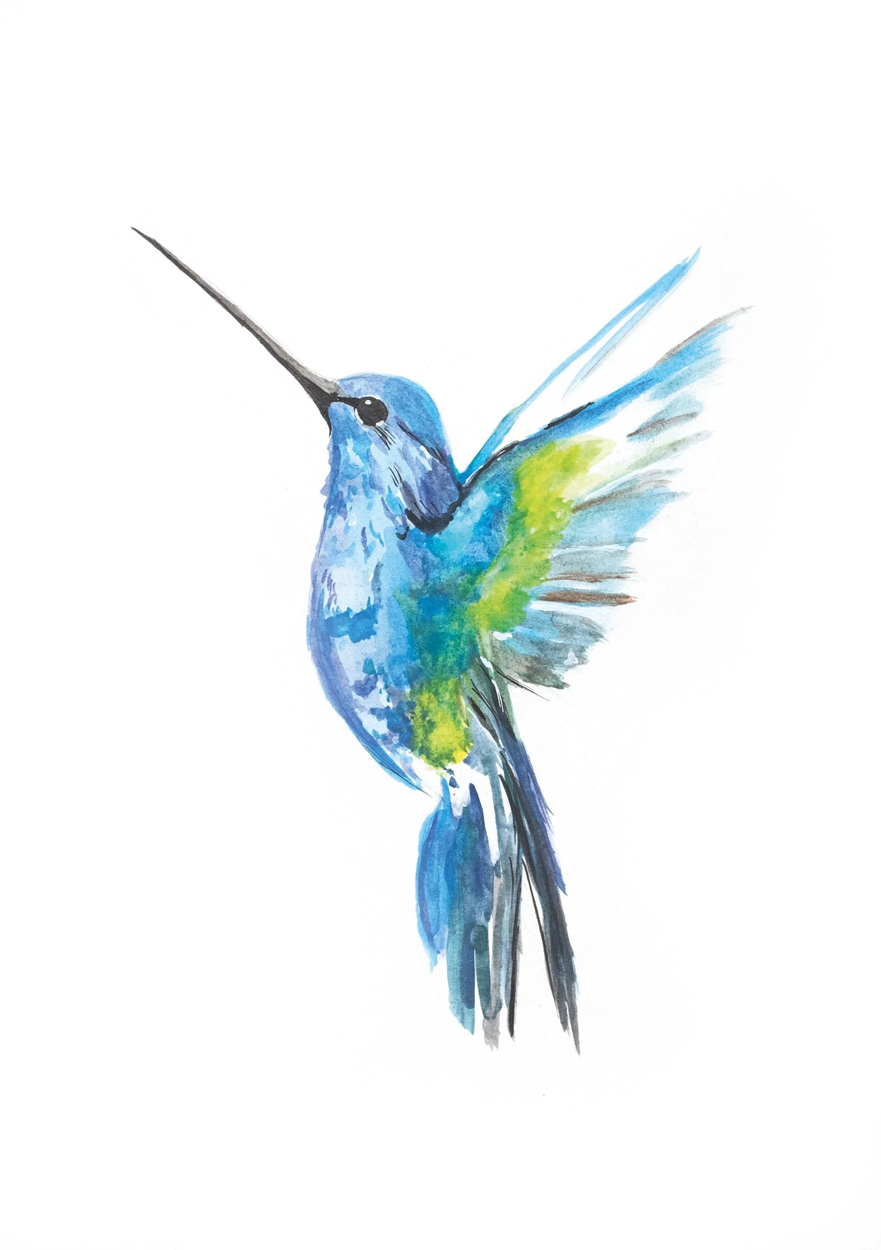 Aquarelle colibri