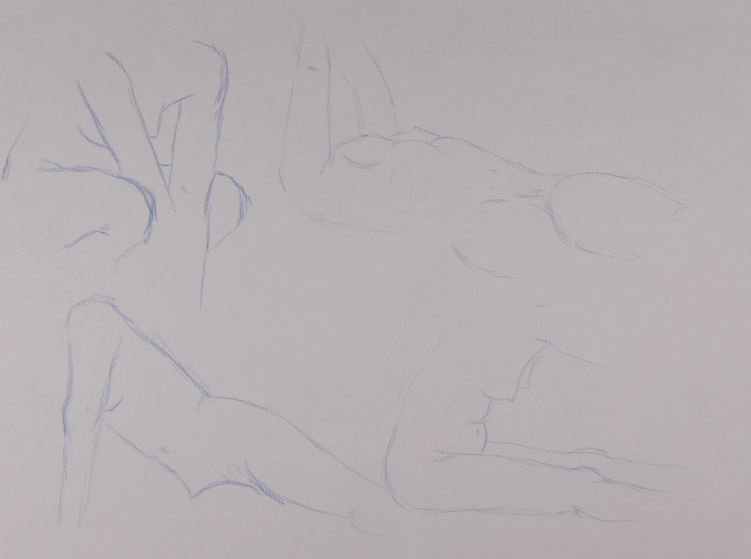 dessin_tradi2-028.jpg