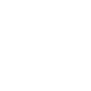 A white check mark on a black background.