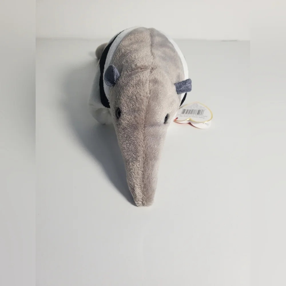 New Ants The Ant Eater