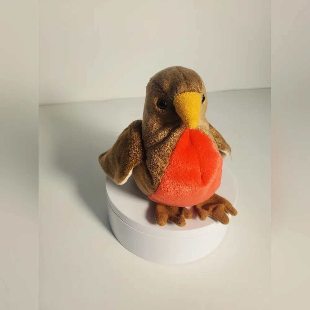 New Early The Robin Bird