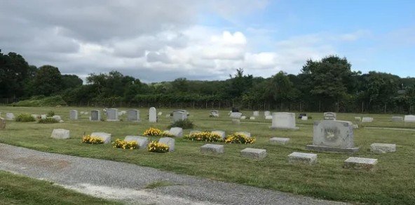 Grey headstones in rows with rows of trees in background