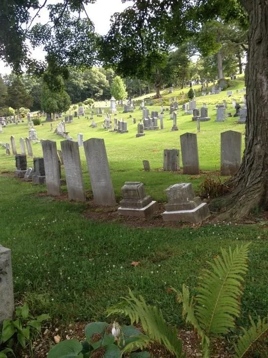 A peaceful cemetery with many gravestones of various sizes and shapes on a gentle grassy hill, surrounded by mature trees and greenery.