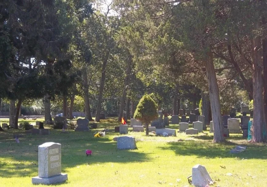 A cemetery with numerous gravestones and trees, some gravestones are toppled over, sunlight filtering through the trees.