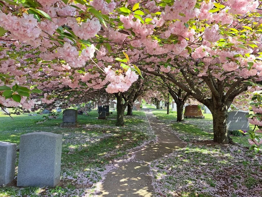 St. Boniface Cemetery