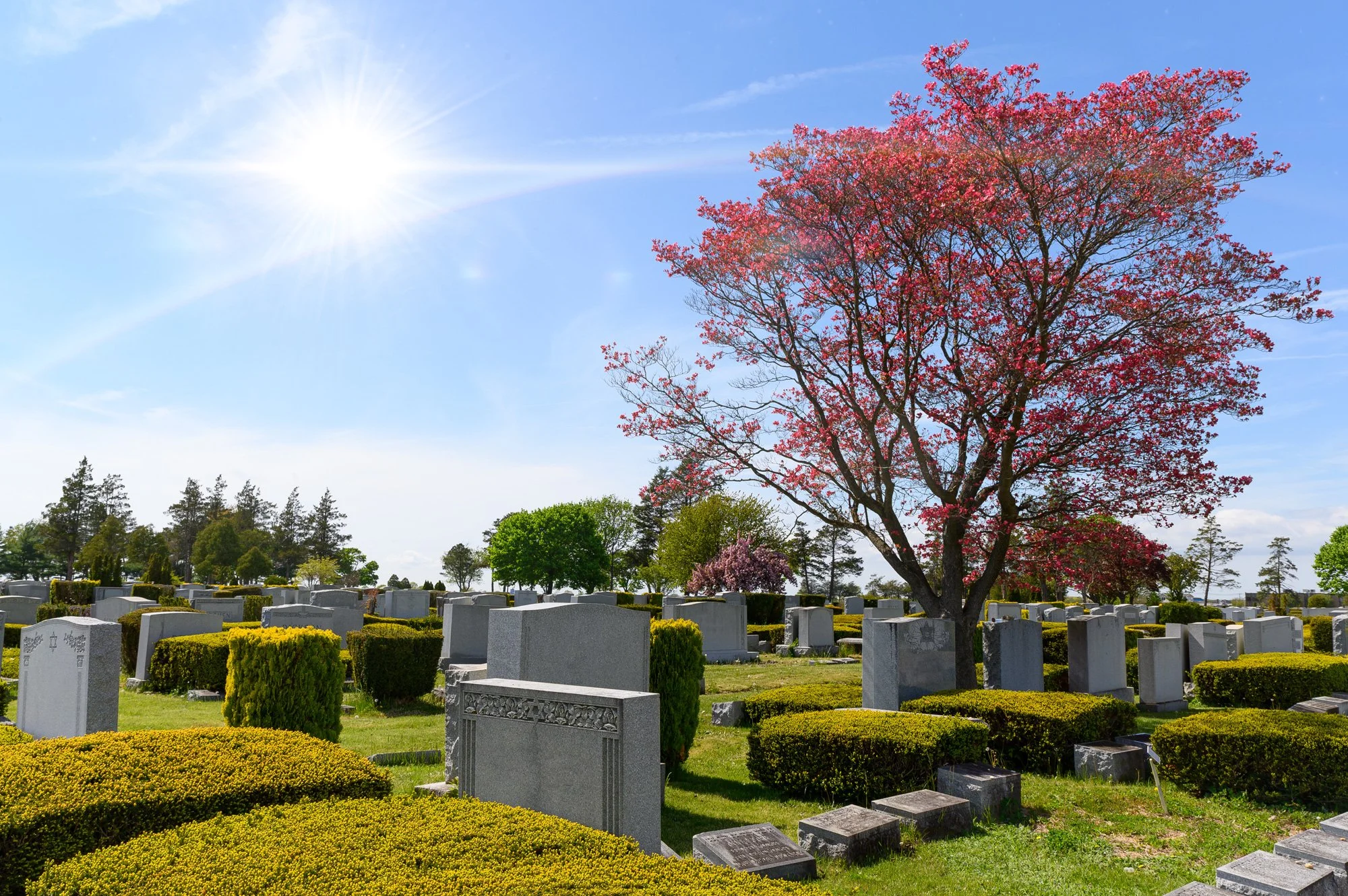 cemetery with grey monuments, blue sky, green grass