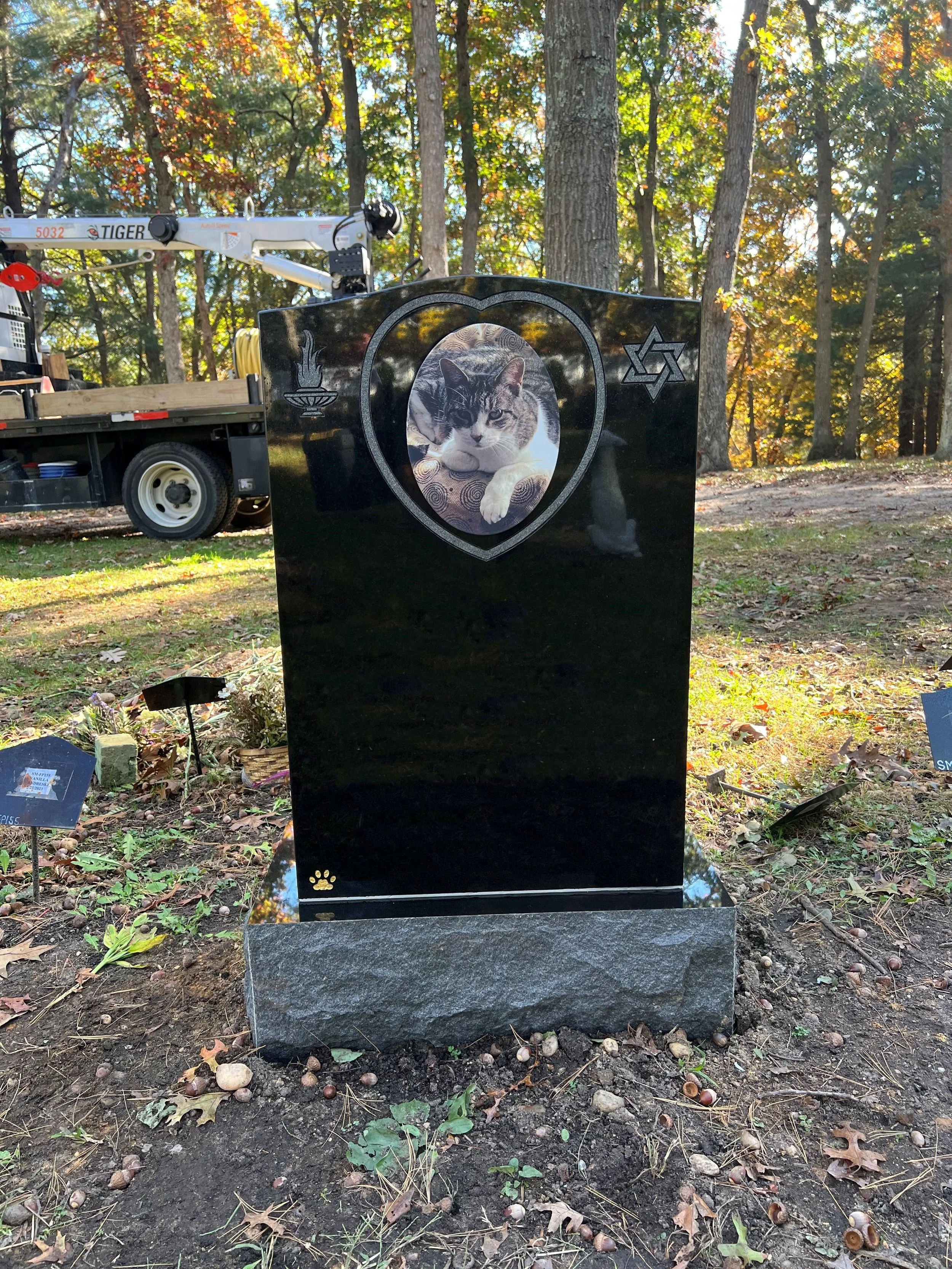 A black gravestone with a photo of a cat in the center. The gravestone is decorated with symbols including a Star of David and a candle. It is outdoors in a wooded area with trees and fallen leaves.