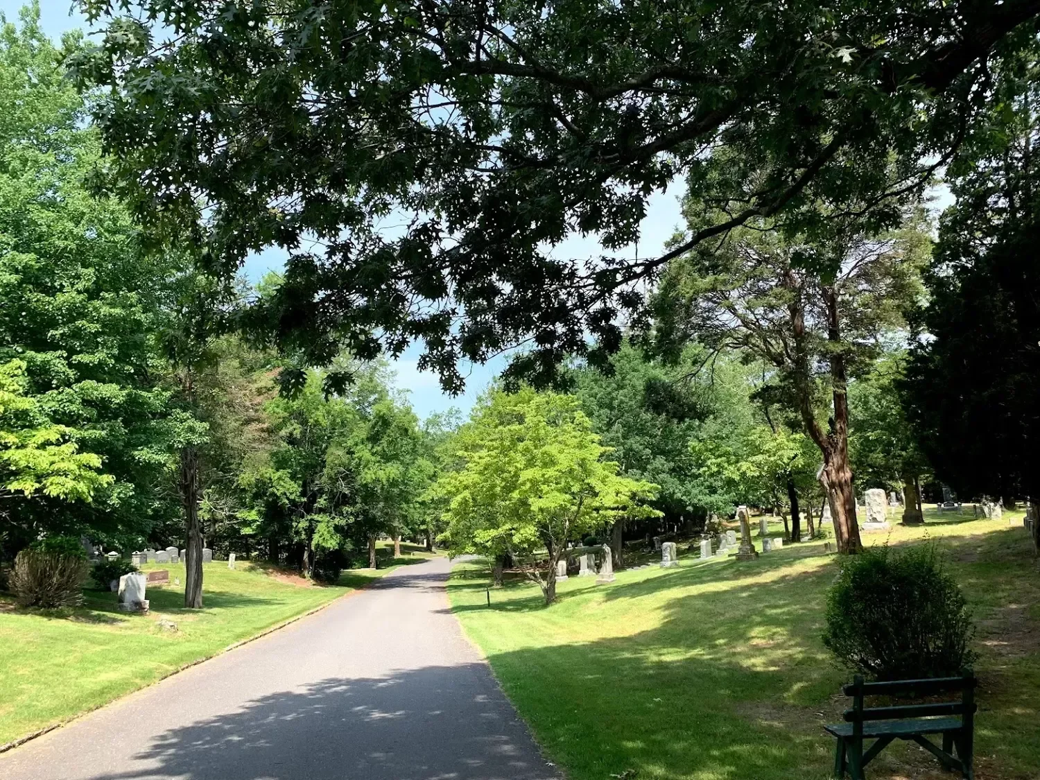 Scenic road through cemetery with stones on the right side of the road many trees with green leaves