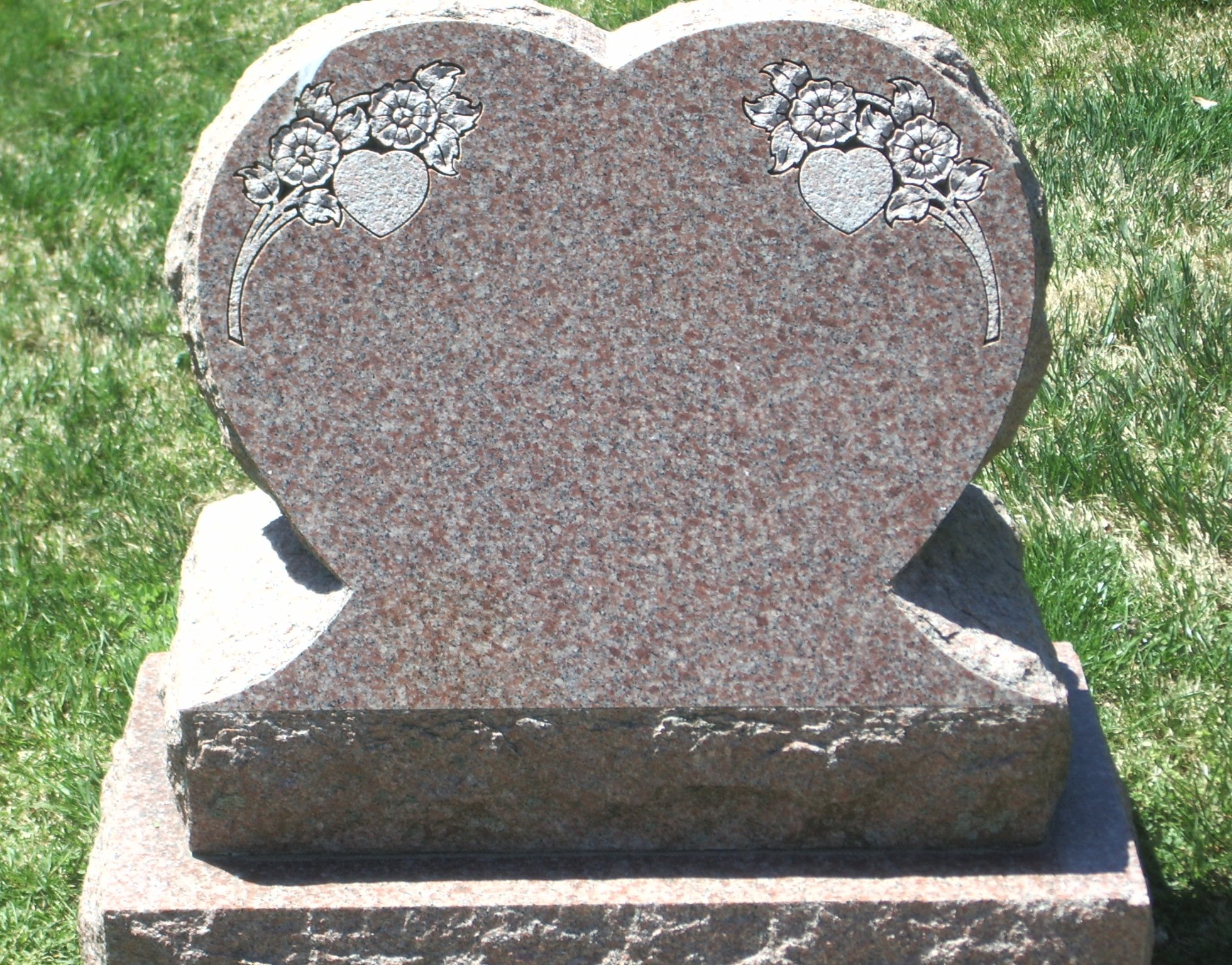 Mountain Rose 11