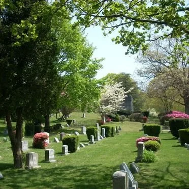 Cemetery with lined headstones of varying size, surrounded by bushes with flowers in boom and trees in full bloom