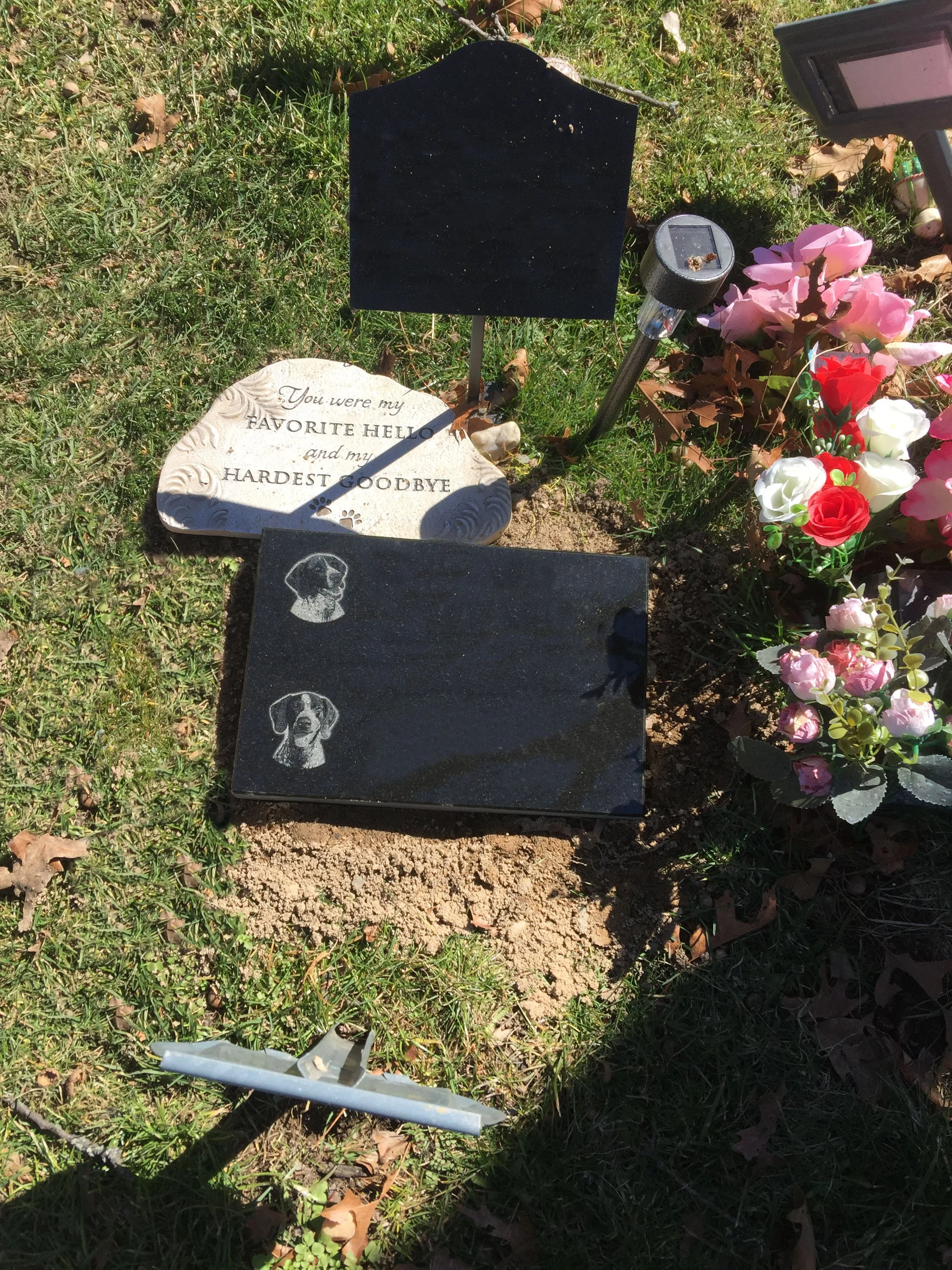 A grave with a black headstone, a white stone with engraved text, and a bed of artificial flowers. The white stone reads, 'You were my favorite hello and my hardest goodbye.' A metal plaque with a picture of a dog is at the base of the grave, and the