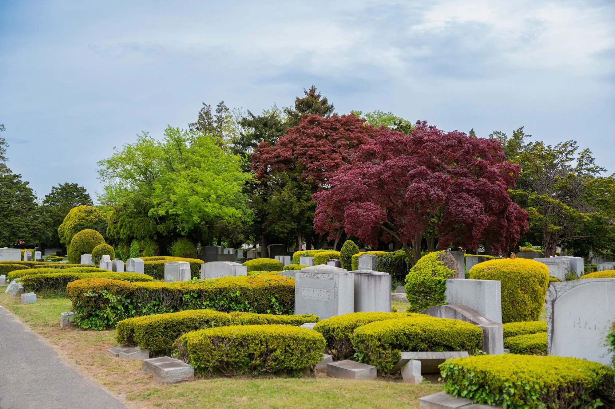 Montefiore Cemetery