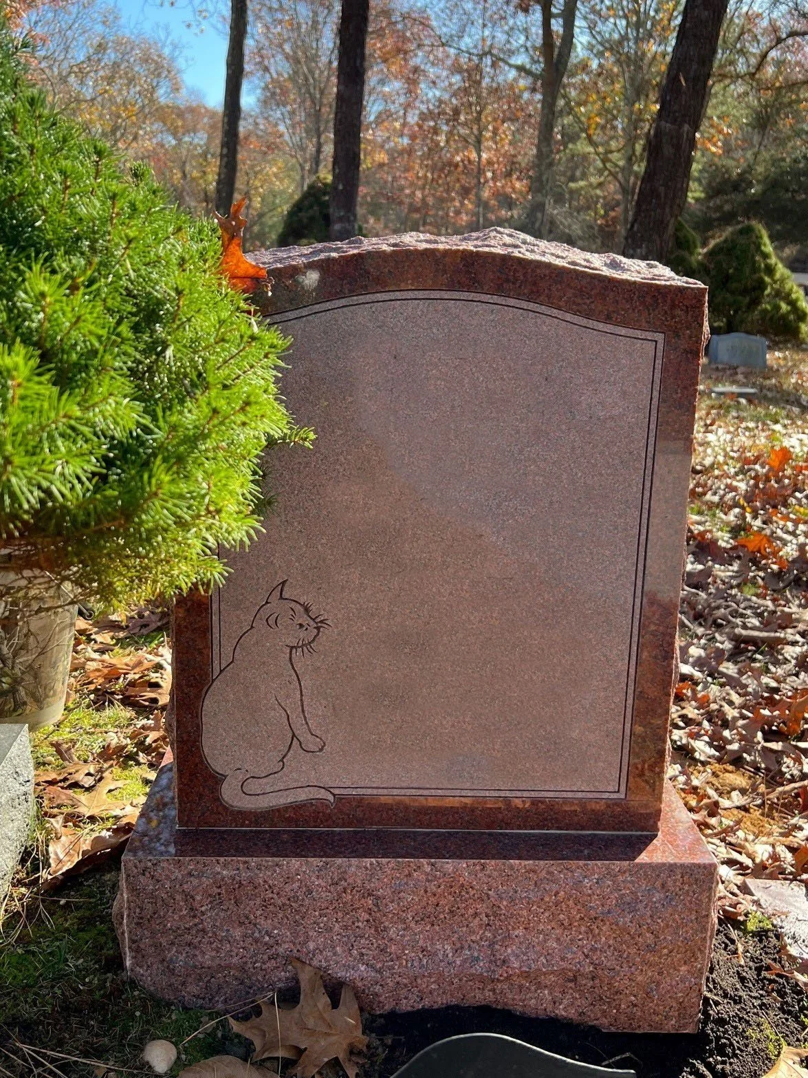 A granite tombstone with a carved outline of a sitting cat on the lower left corner, situated in a cemetery with autumn trees in the background and fallen leaves on the ground.