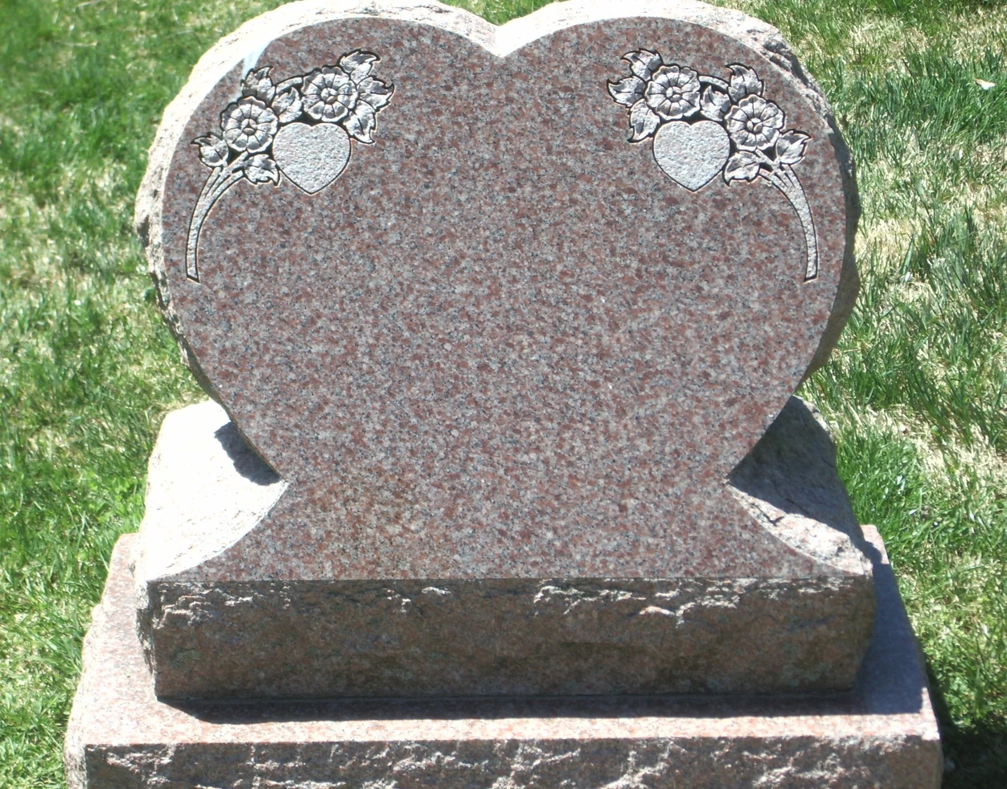 Mountain Rose 11