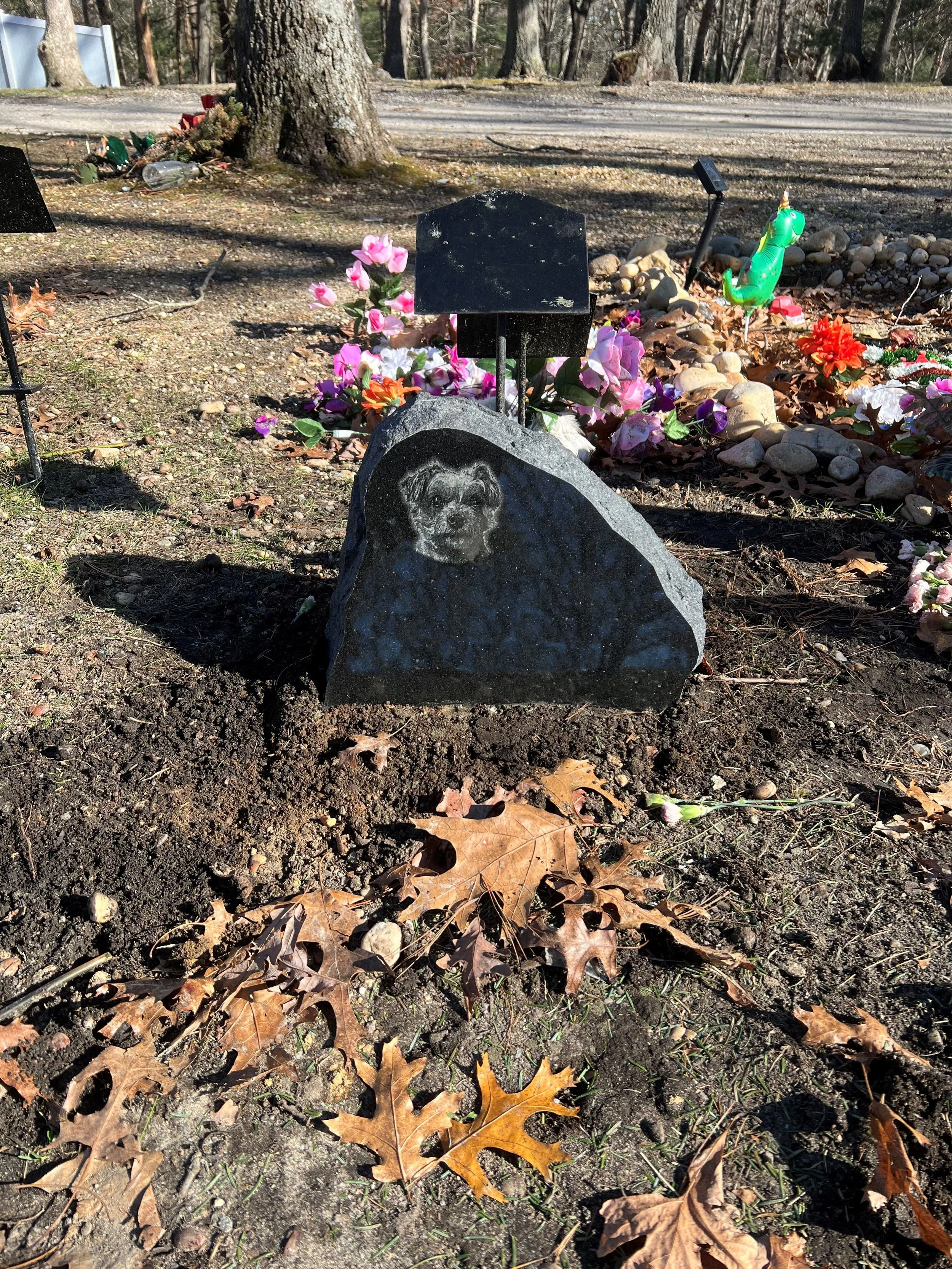 A small grave site with a black headstone and a smaller plaque in a wooded area. The grave is decorated with artificial flowers, a green inflatable unicorn, and surrounded by fallen autumn leaves and small rocks.