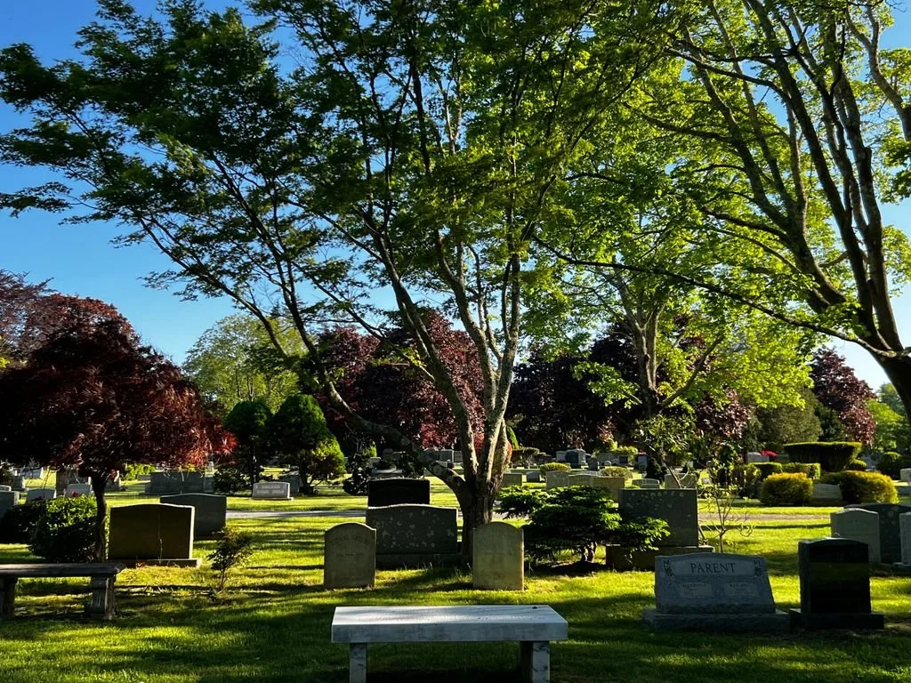 View of cemetery with bench in foreground and monuments throughout.  Many trees and bushes are in bloom.