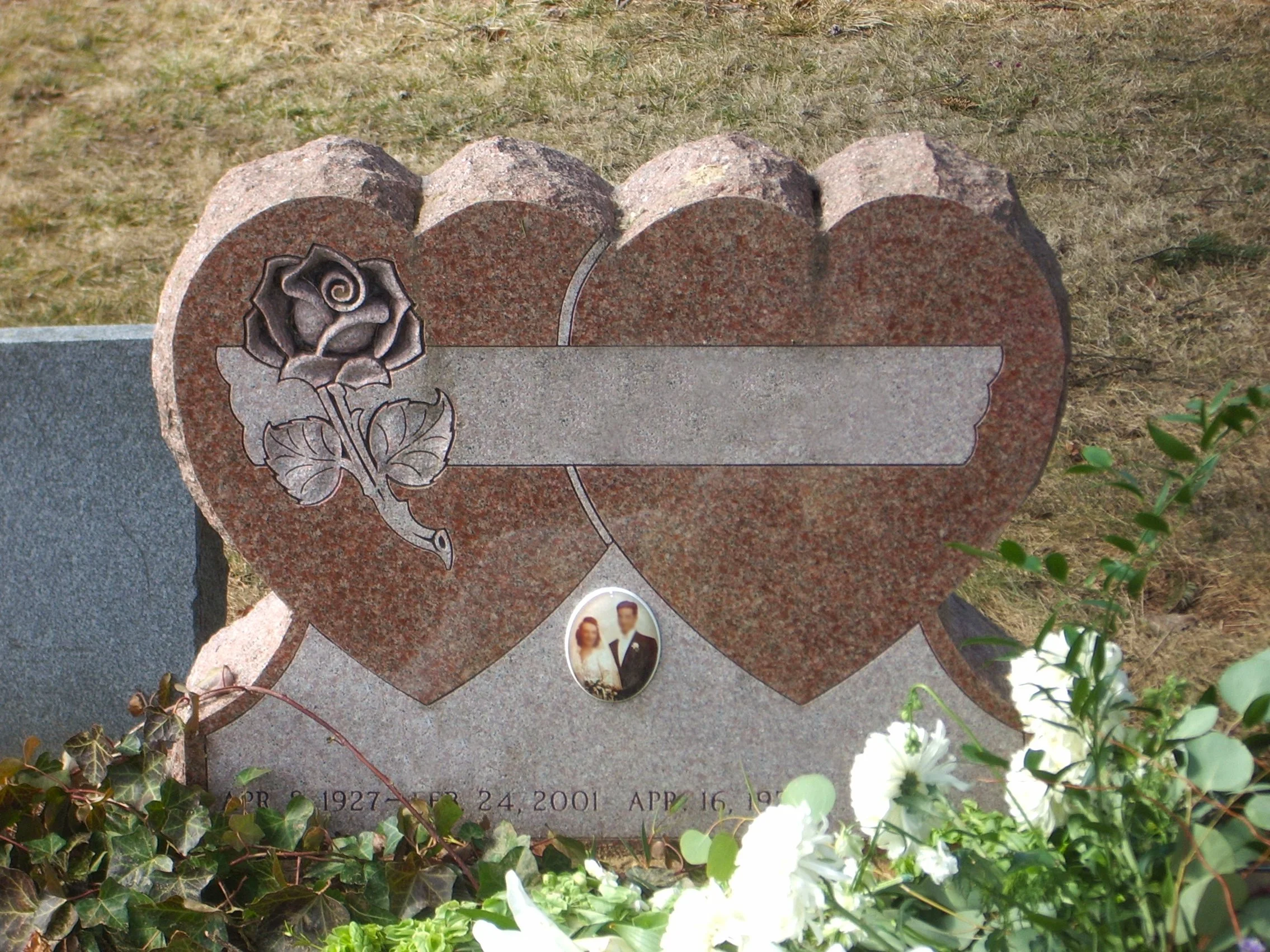 Mountain Rose 6