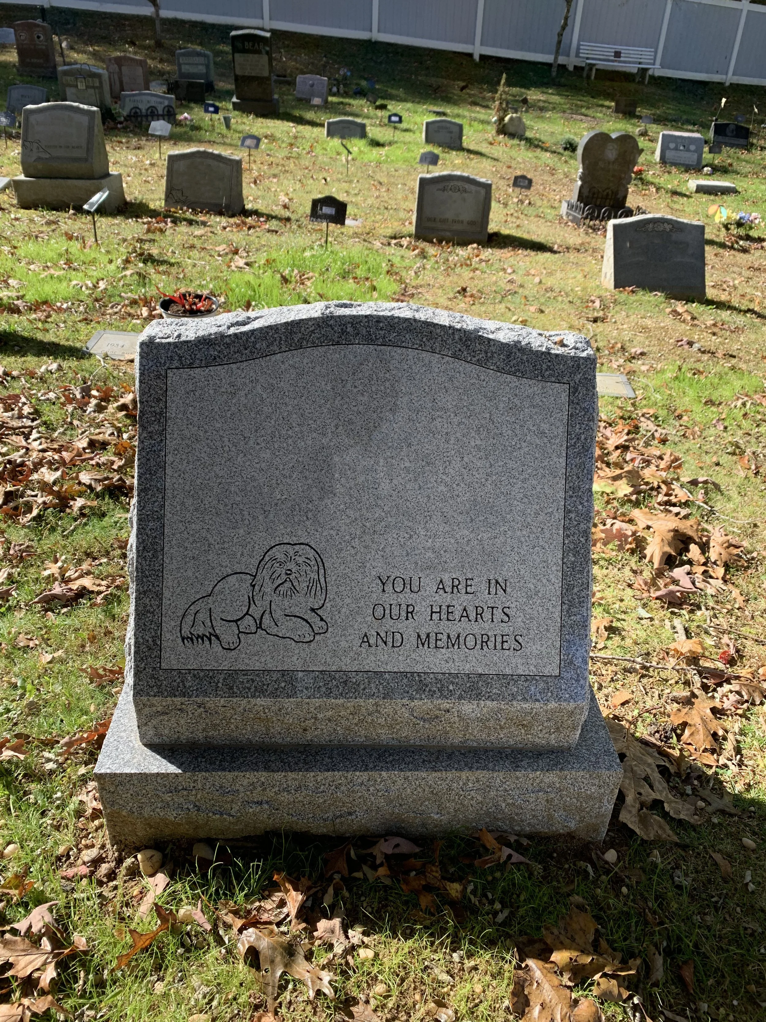 Gravestone with a lion illustration and the words, 'You are in our hearts and memories', in a cemetery with other headstones and fallen leaves on the ground