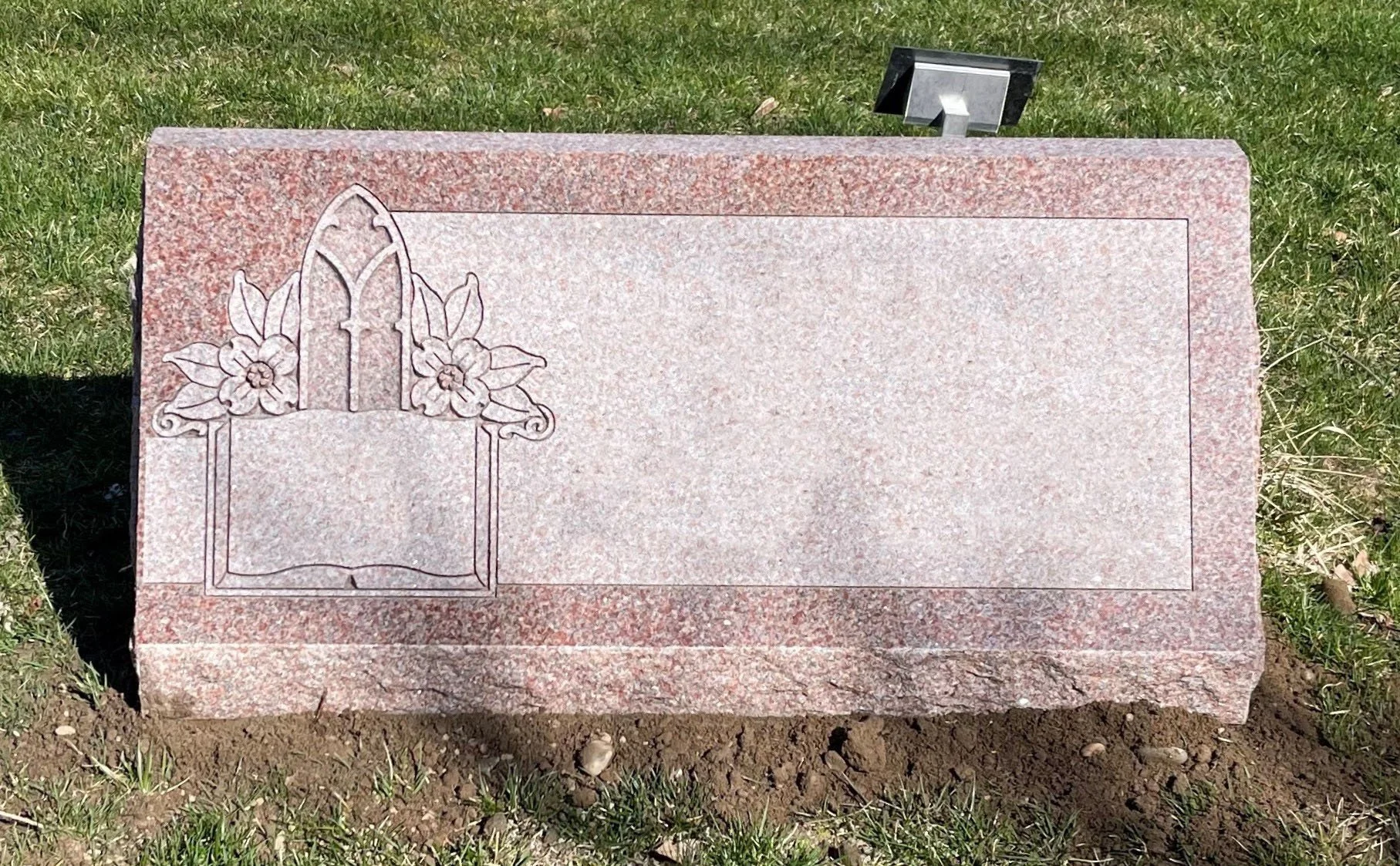 Mountain Rose 14