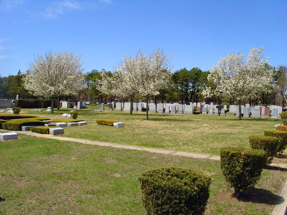 Wellwood Cemetery