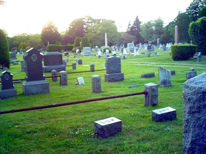 A cemetery with numerous headstones and grave markers of various shapes and sizes, surrounded by well-maintained grass and trees, under a bright sky.