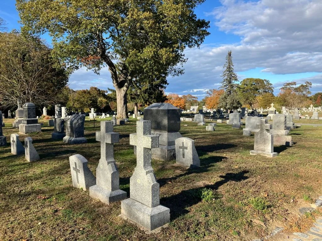 Cross shaped grey monuments through cemetery scene. Large tree at center and orange foliage in the background