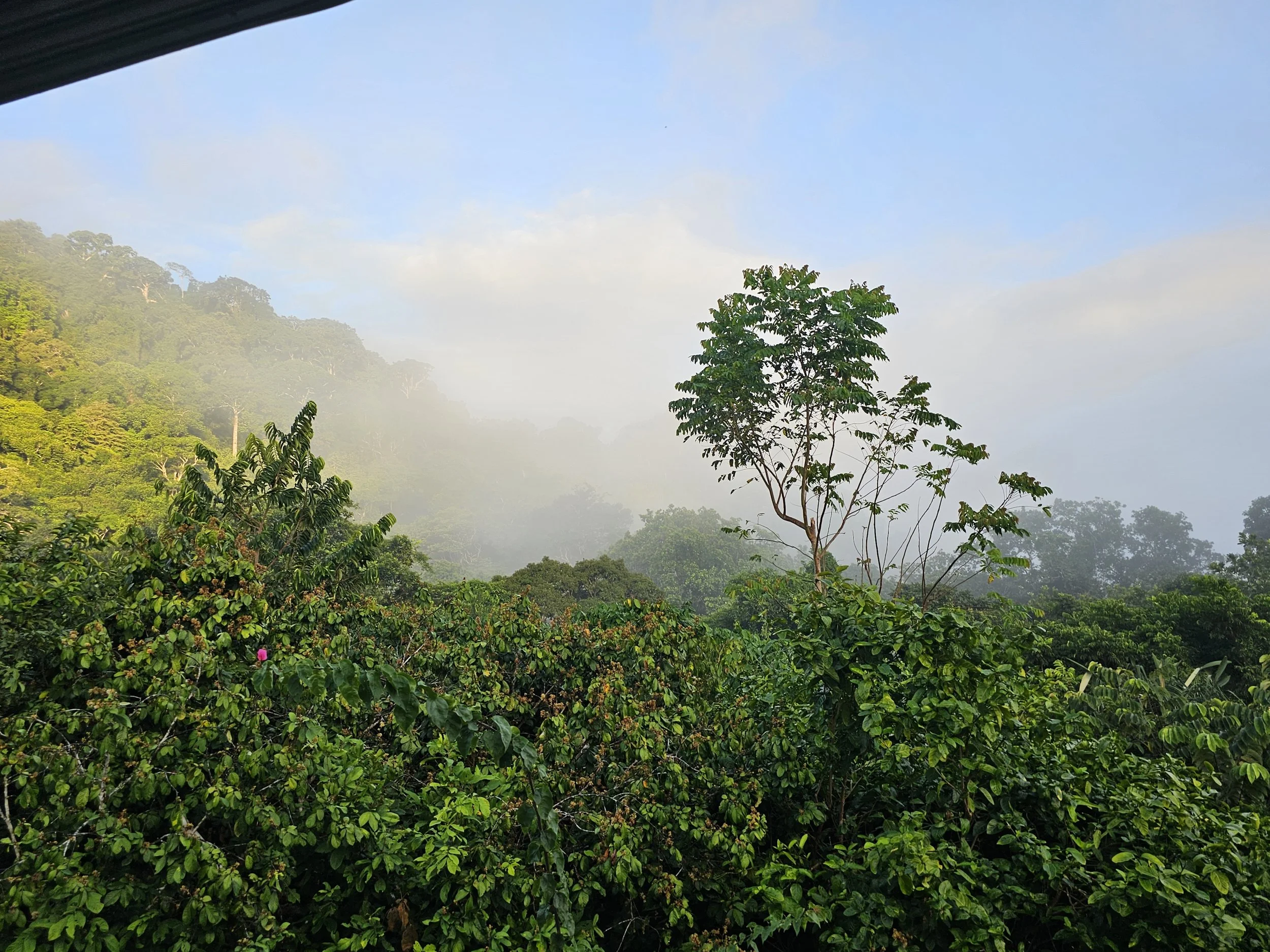 Oct 2025 - Impressions from Panama  