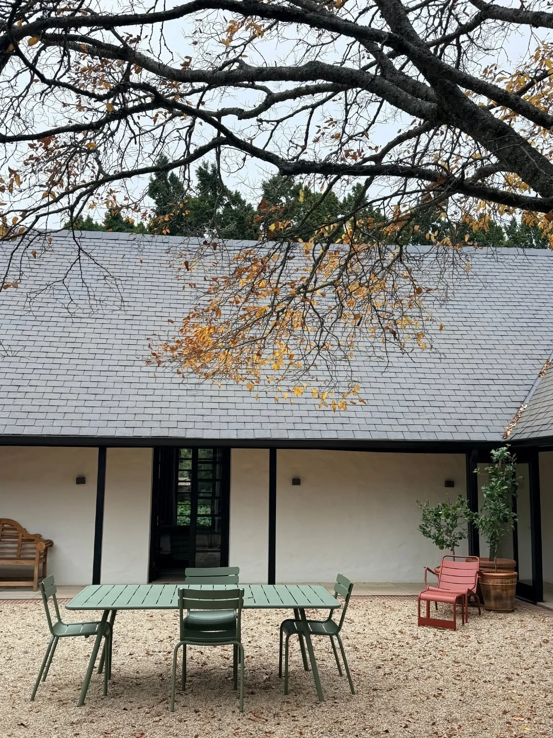 Autumn at Nieuwe Sion deserves the spotlight.

It&rsquo;s the one season that arrives unapologetically. Leaves turn into a kaleidoscope of yellows, burnt oranges, and deep reds. Rainwater finds its way into the hollow spaces that spent all summer wai
