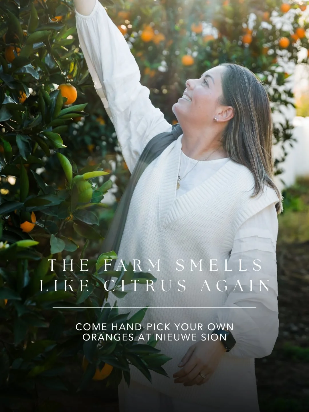 Nothing quite compares to the feeling of picking fruit straight from the tree. The simple pleasure of filling a basket with bright, sun-ripened oranges.

Come experience it at Nieuwe Sion.

Date, time and cost:
1-6 June
10:00-15:00
R20 per kg

Bring 