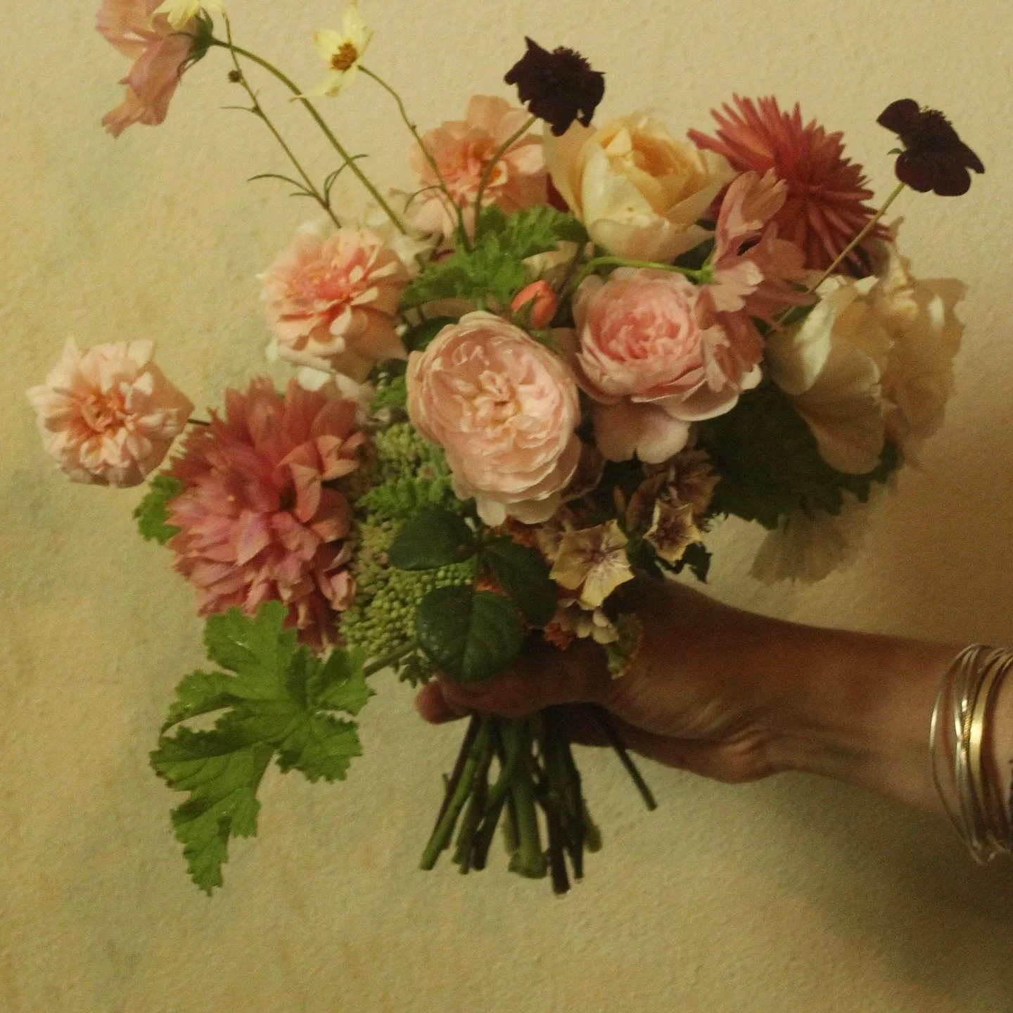 Small bridal bouquet filled with late Augusts delights, roses, dahlias, phlox and the delicious smells of chocolate cosmos and scented pelargonium