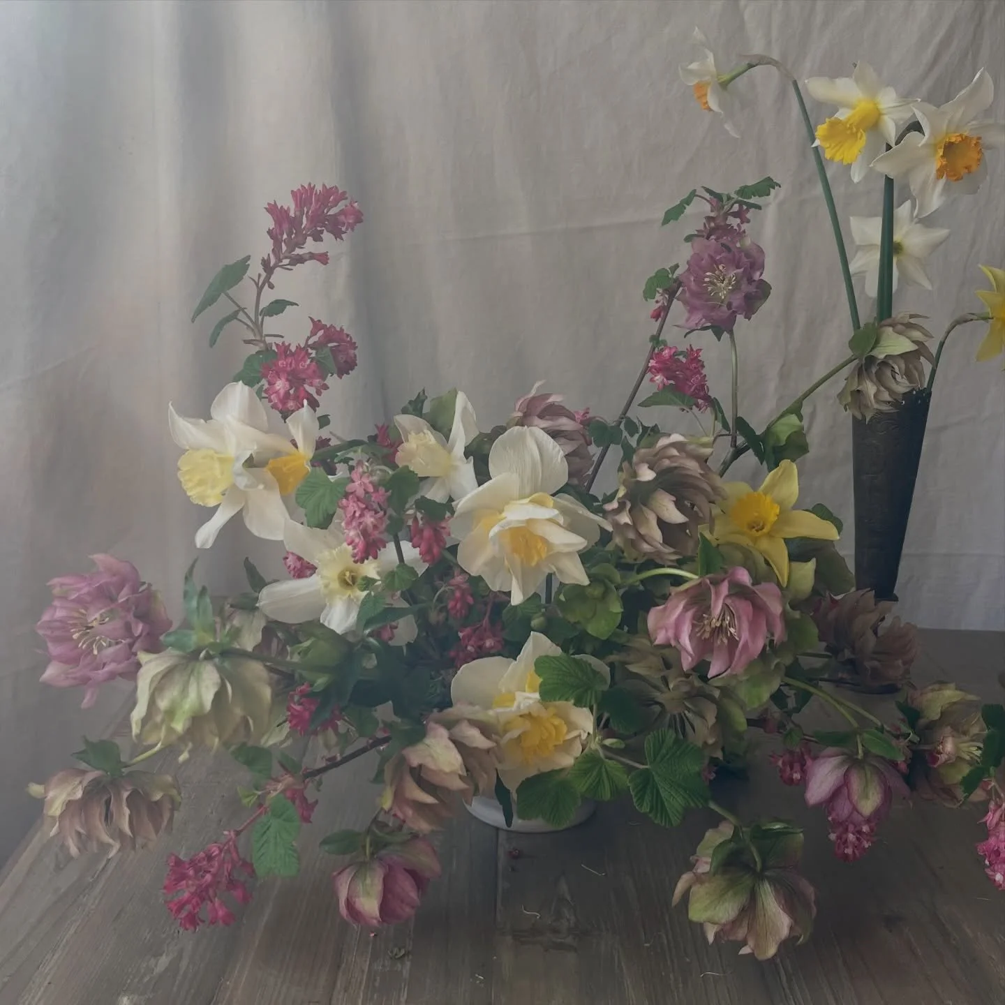 Ribes, daffodils and the last of the hellebores 

Cut from the orchard today and arranged in the soft afternoon light.

Inspired by the seasons, creating flowers for weddings in Dorset and the South West.