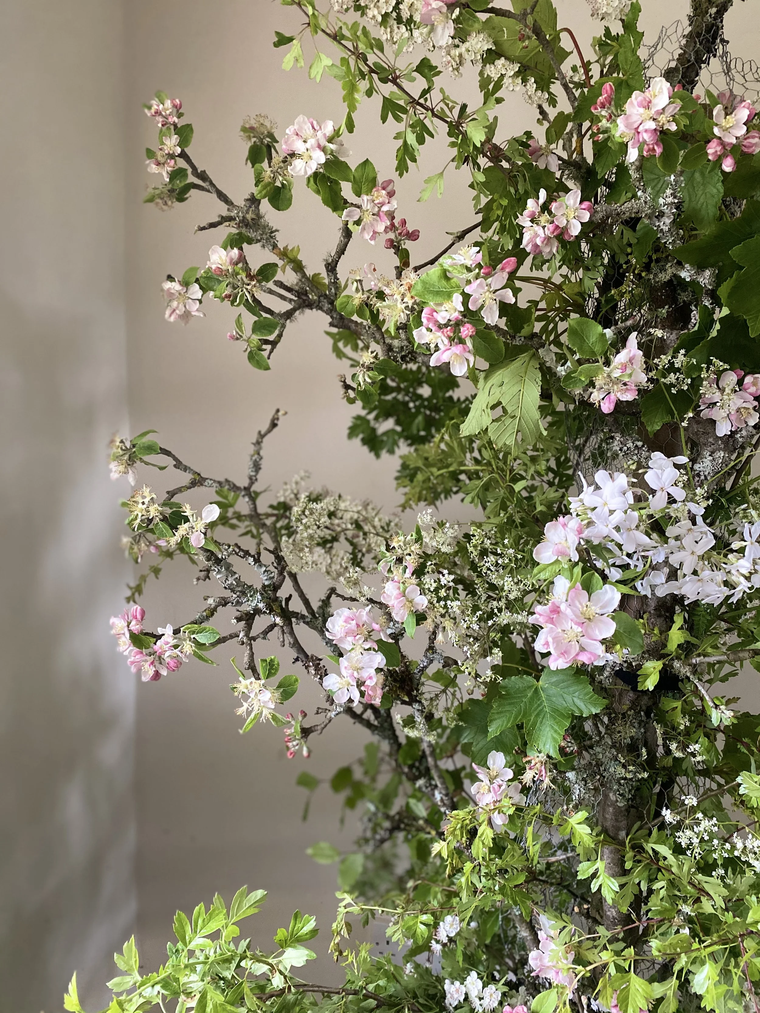 Detail of apple blossom and cow parsley in a natural spring wedding instillation