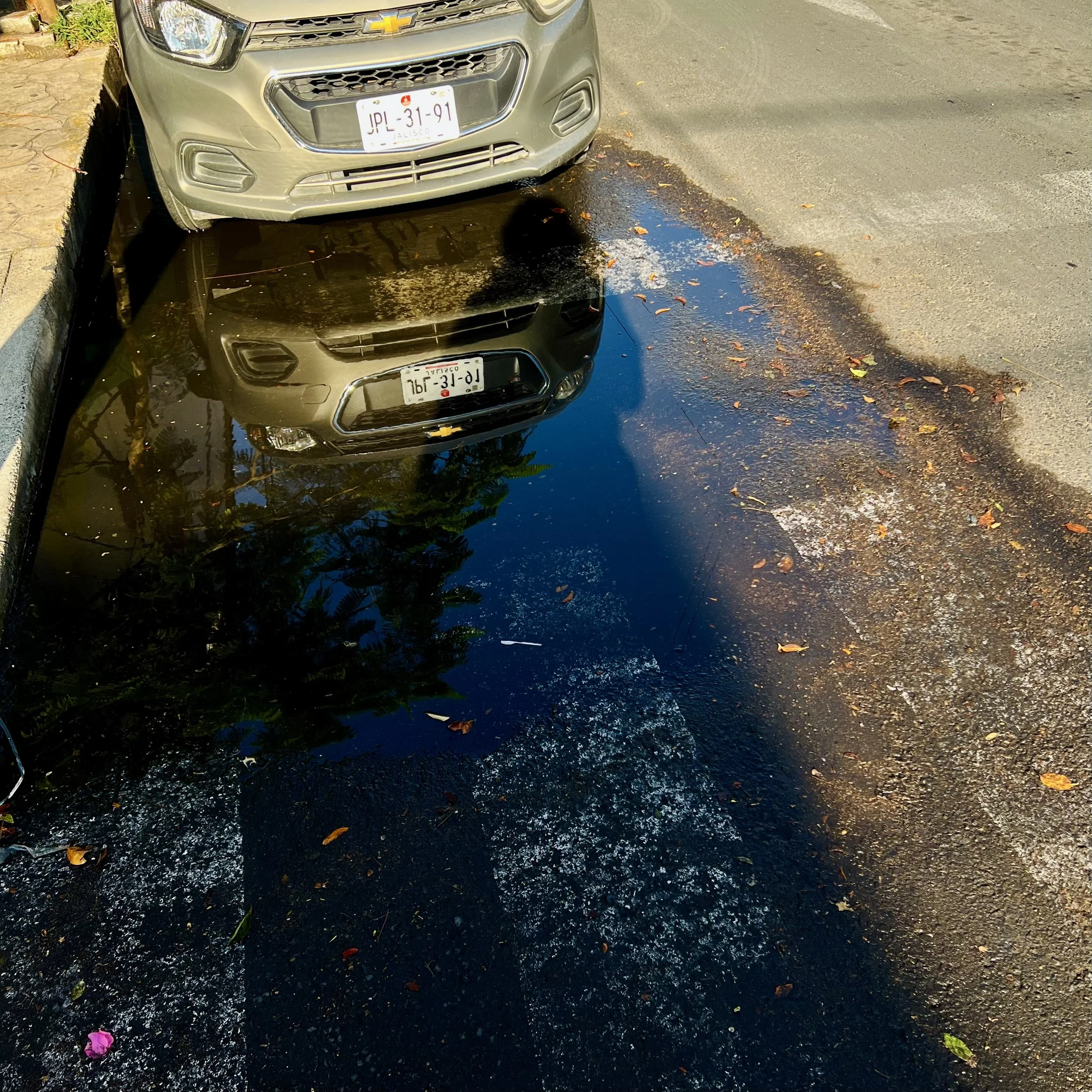 Contrataciones al 013033