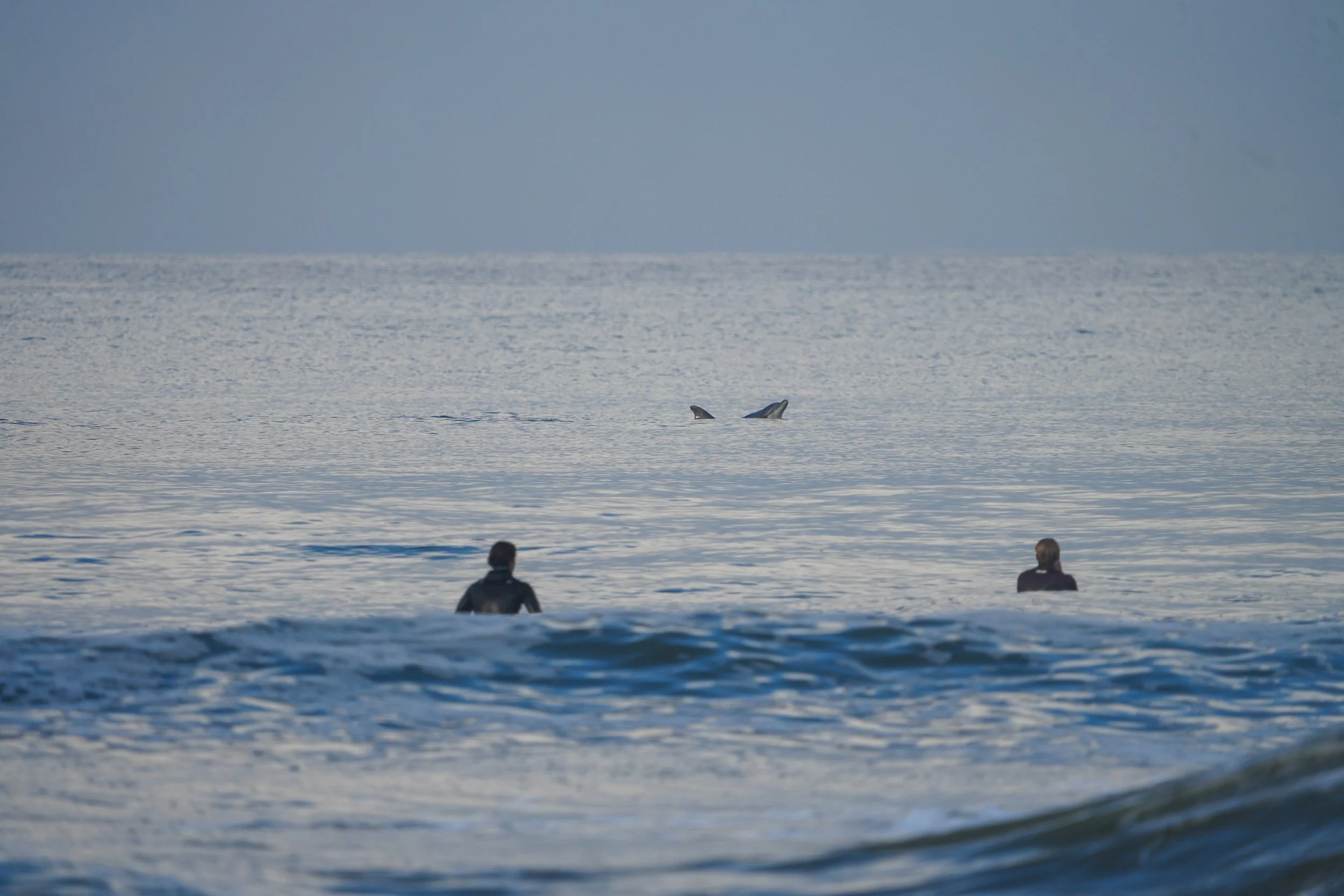 SOF09771-2.jpg
