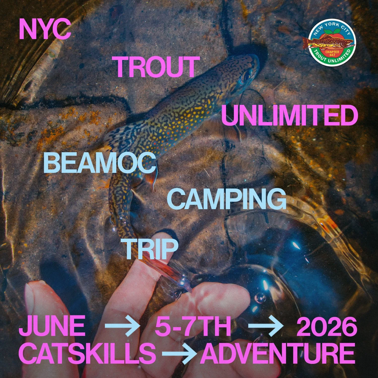 BeaMoc Camping Trip