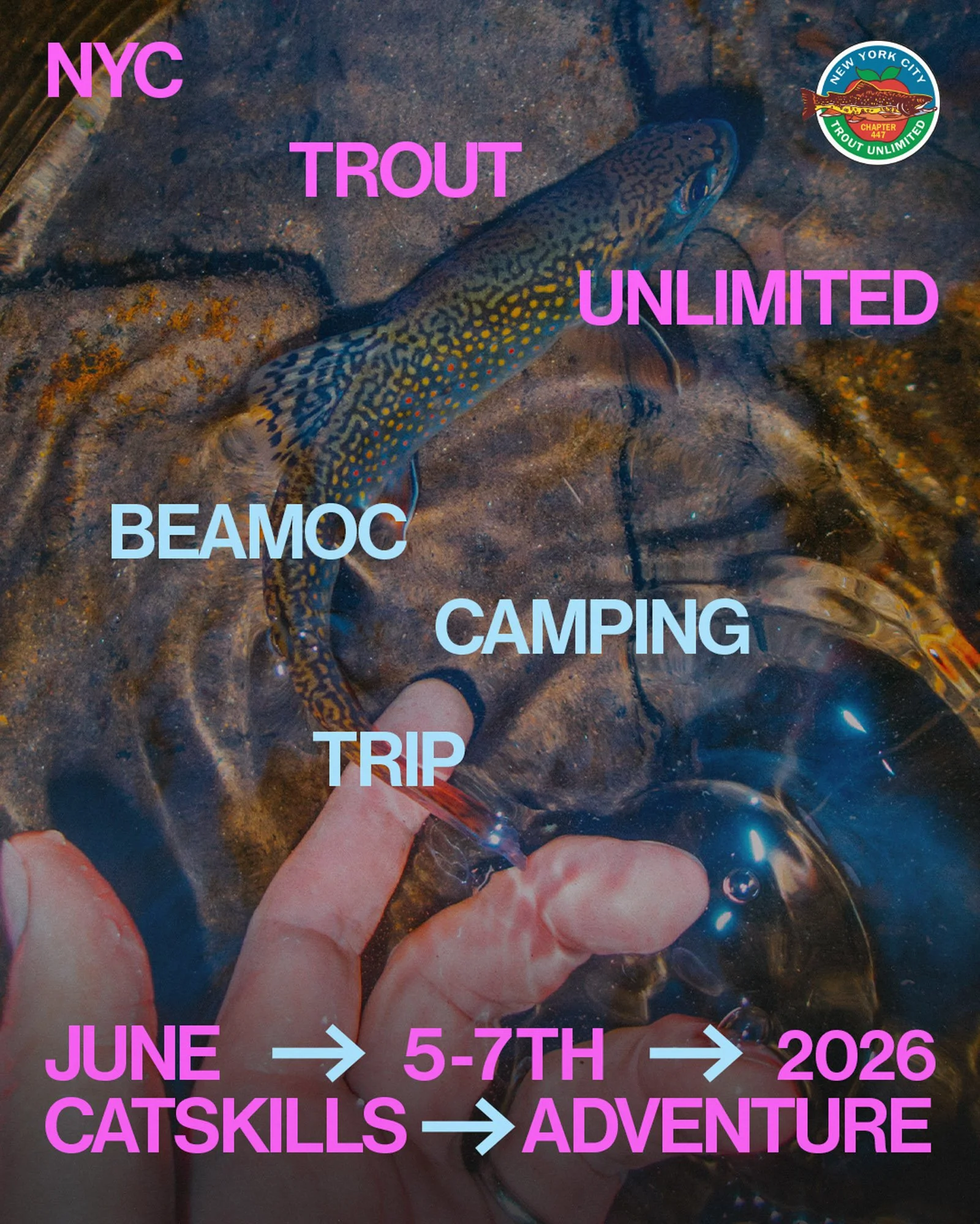 4x5 3 Beamoc 2026 NYCTU.jpg